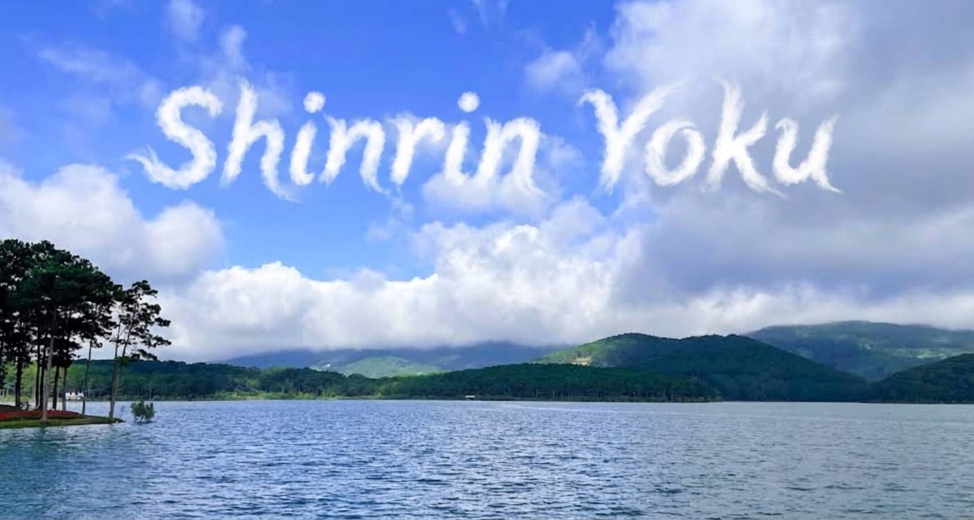 Shinrin Yoku/Forest Bathing · Thiền Viện Trúc Lâm