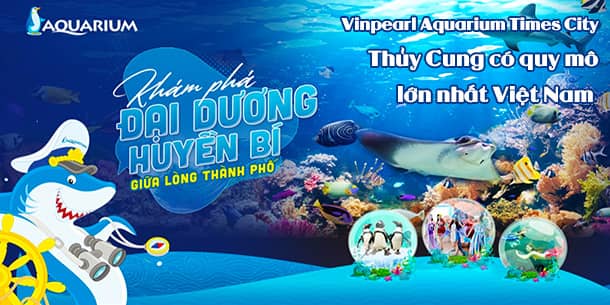 Tham quan THỦY CUNG có quy mô lớn nhất Việt Nam - Vinpearl AQUARIUM Times City