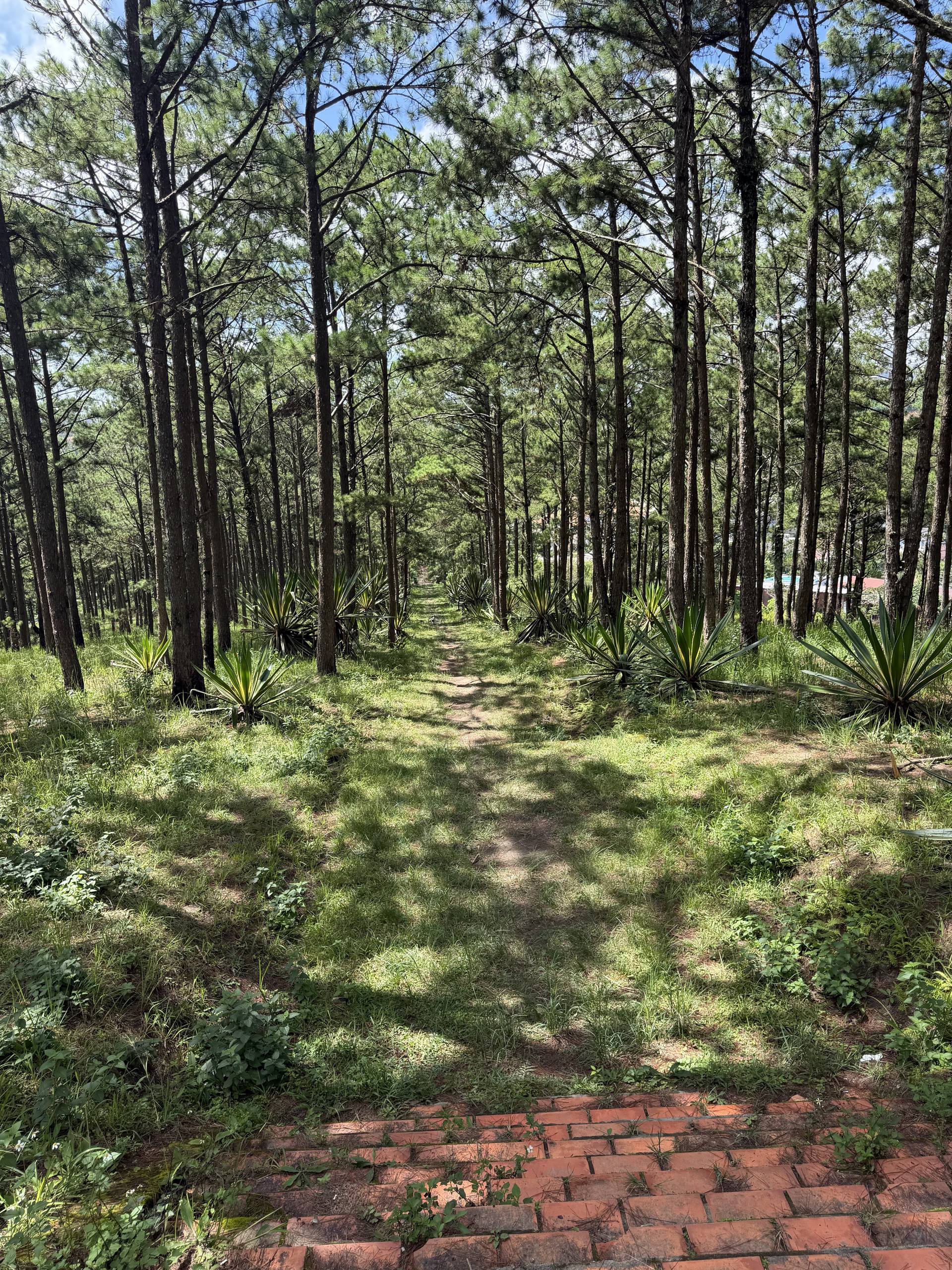 Photo from Đà Lạt