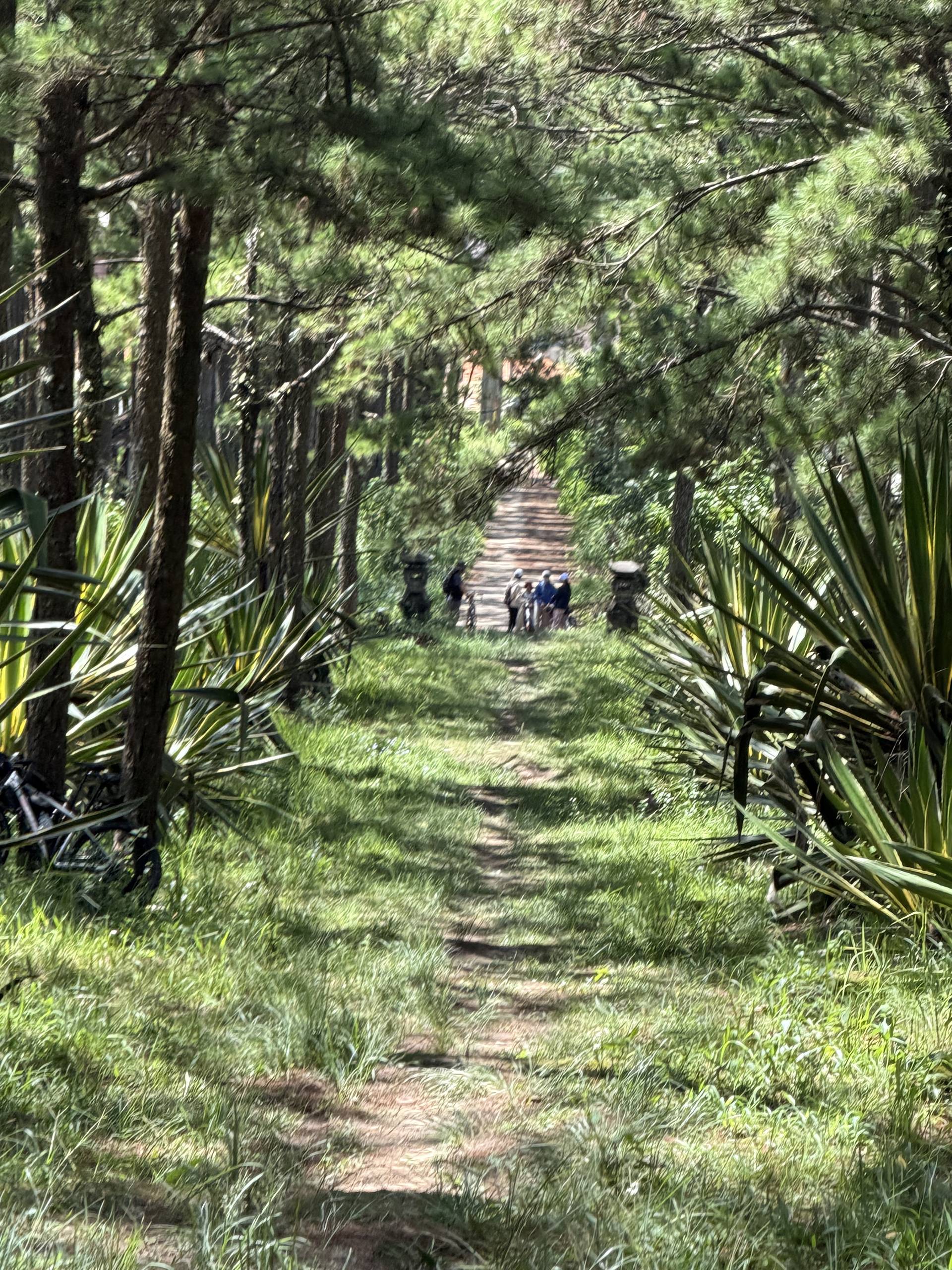 Photo from Đà Lạt