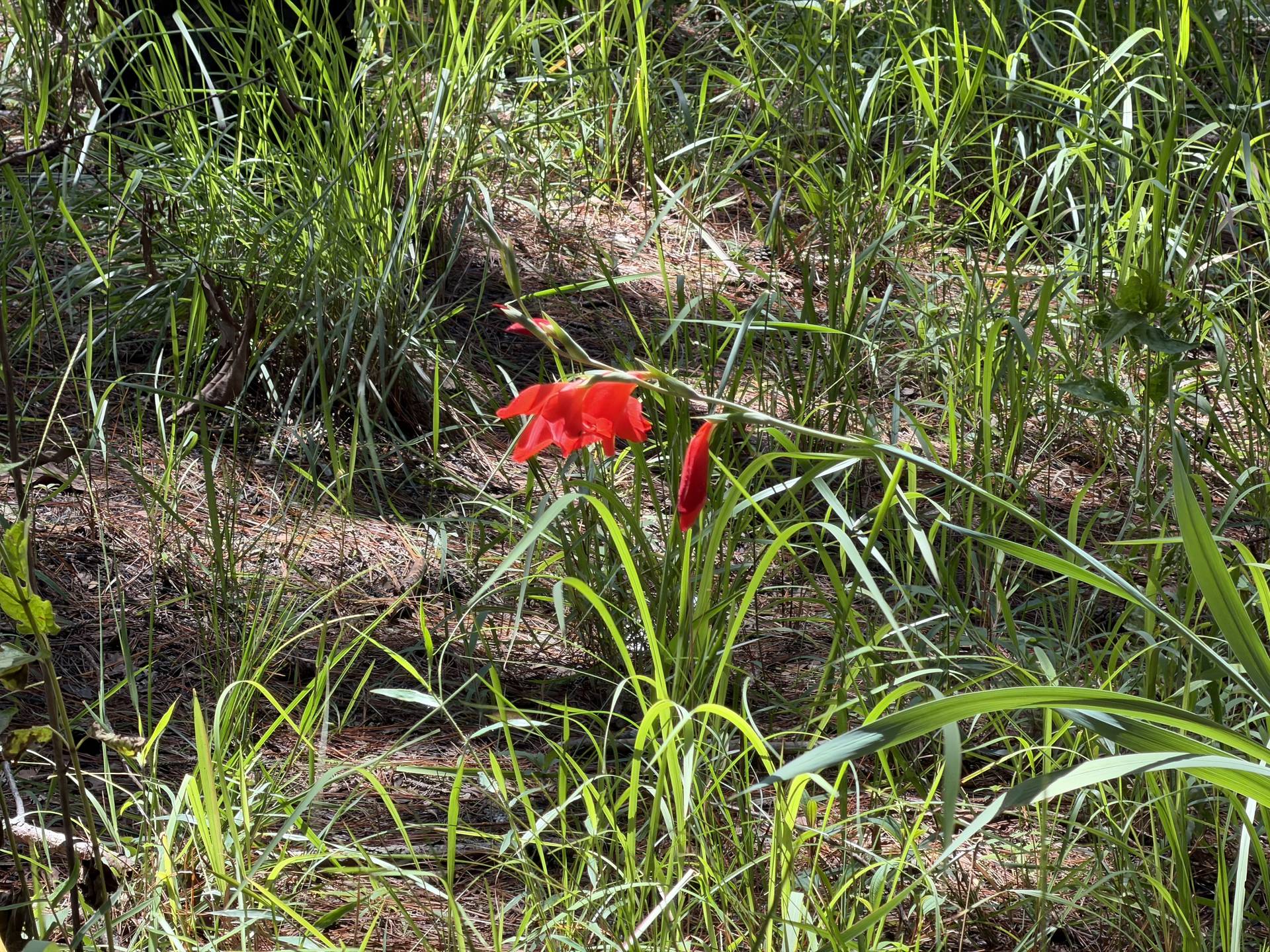Photo from Đà Lạt