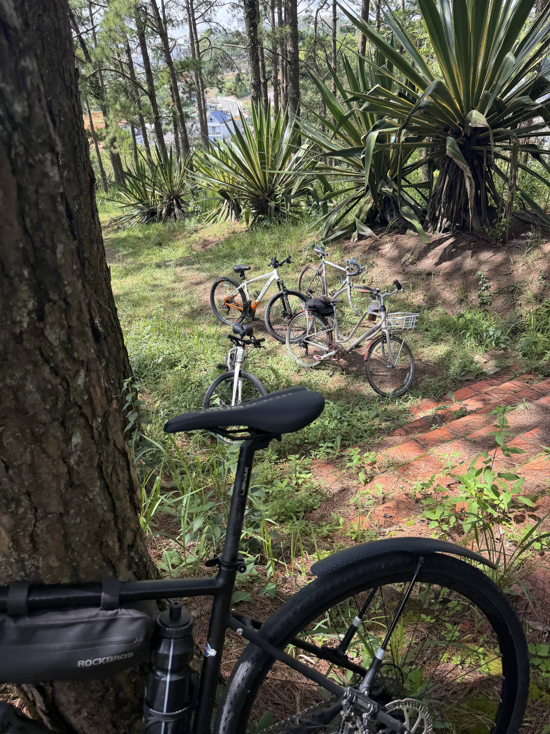 Photo from Đà Lạt