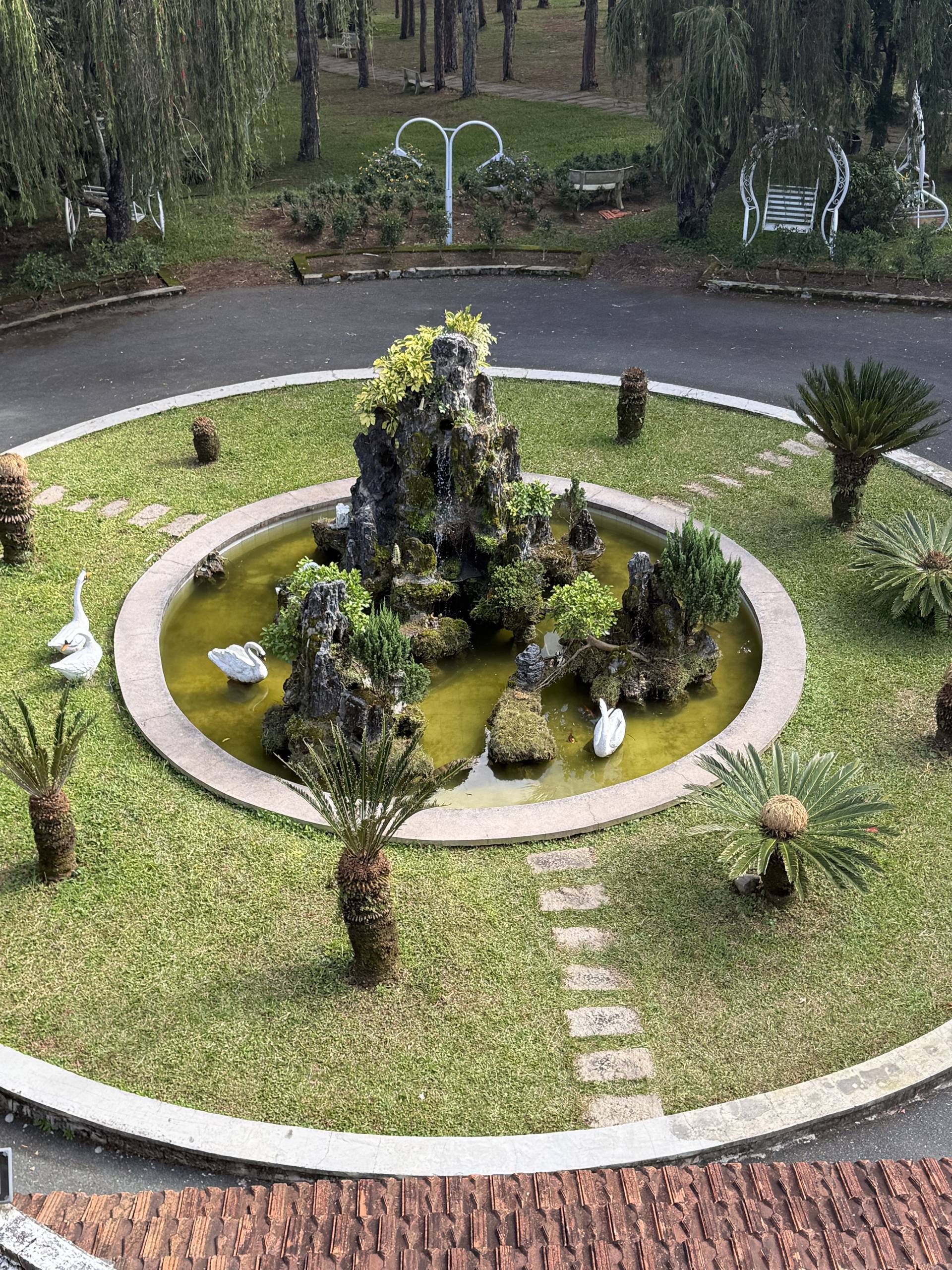 Photo from Đà Lạt