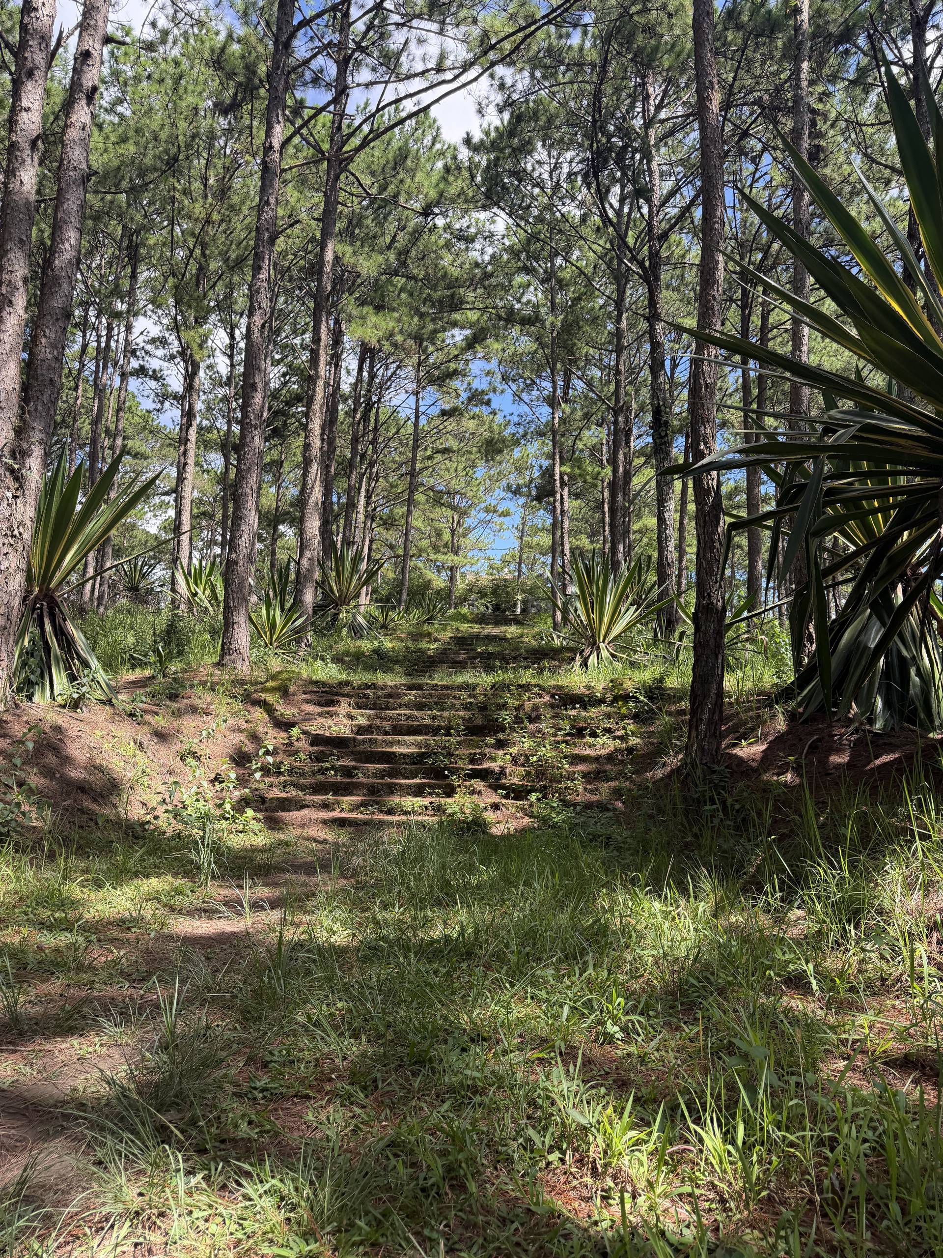 Photo from Đà Lạt