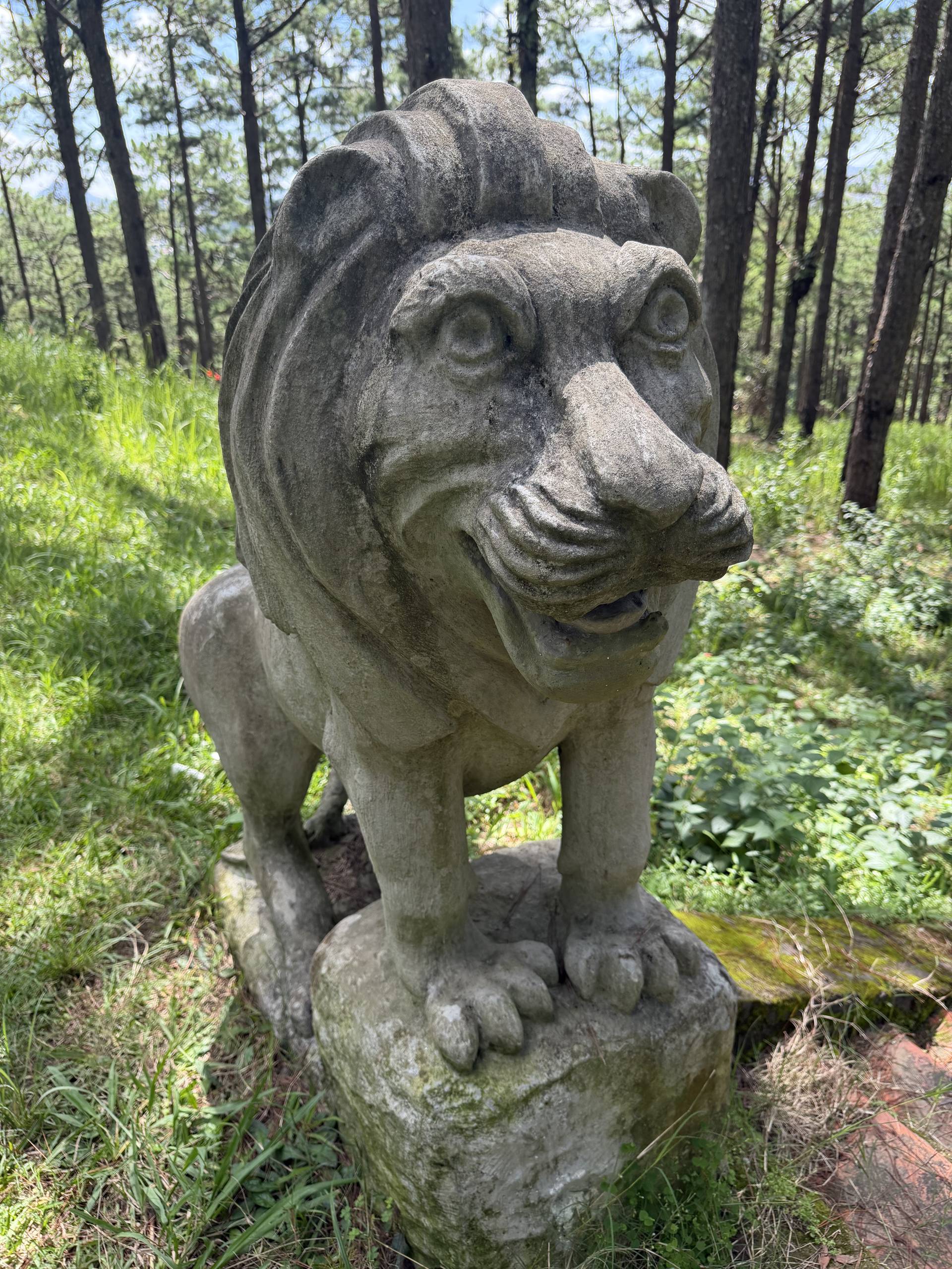 Photo from Đà Lạt