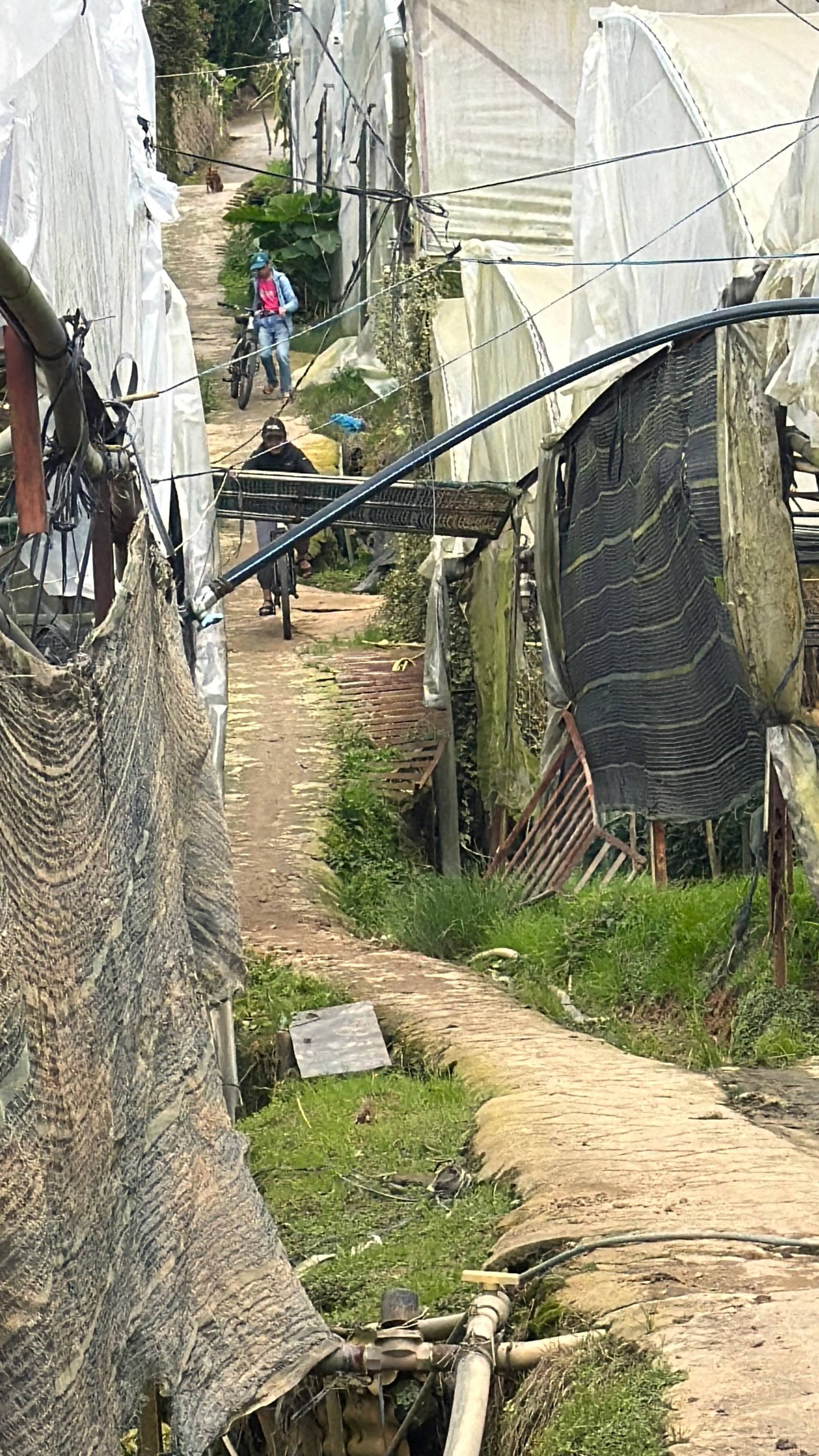 Photo from Đà Lạt