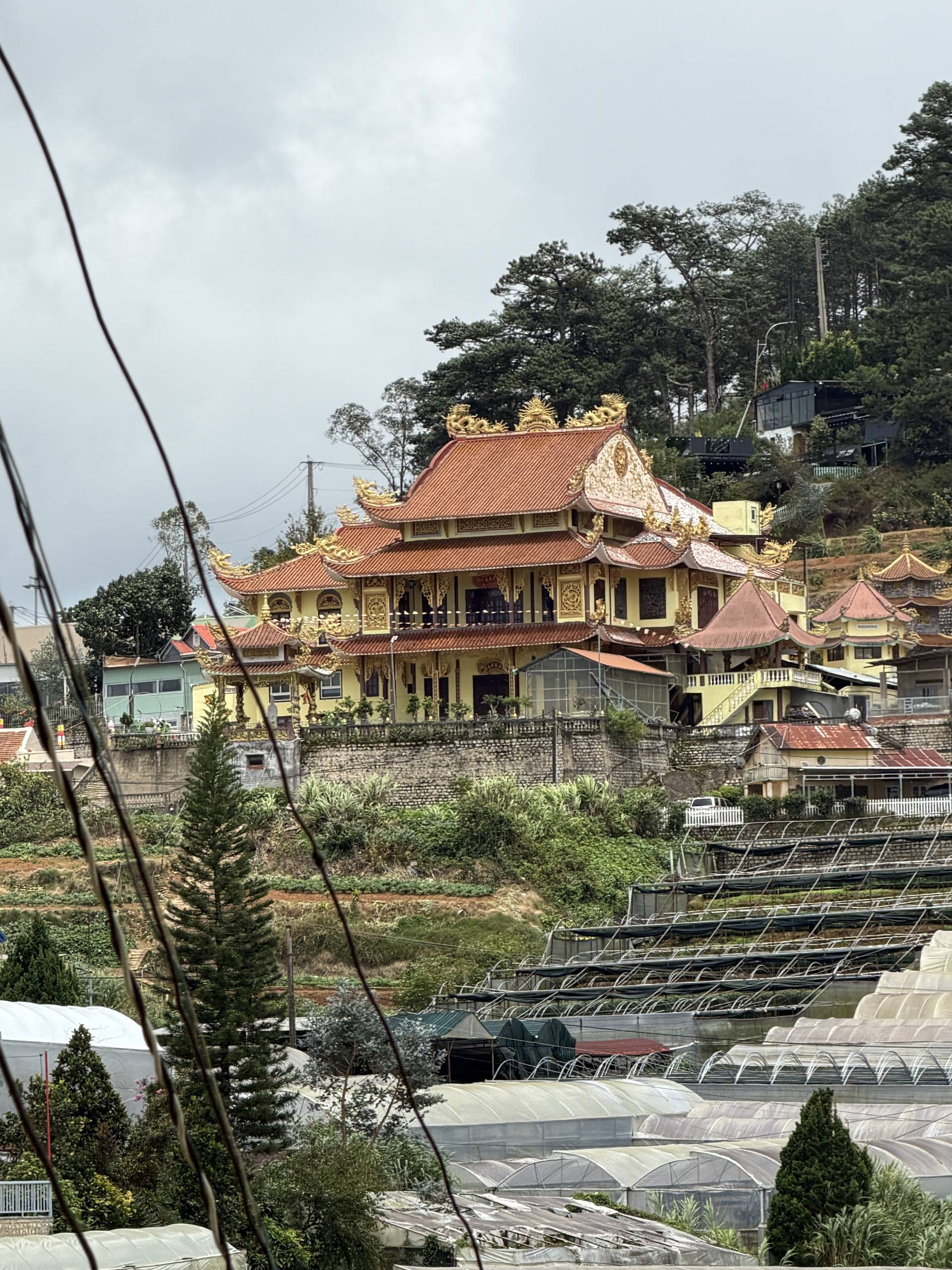 Photo from Đà Lạt
