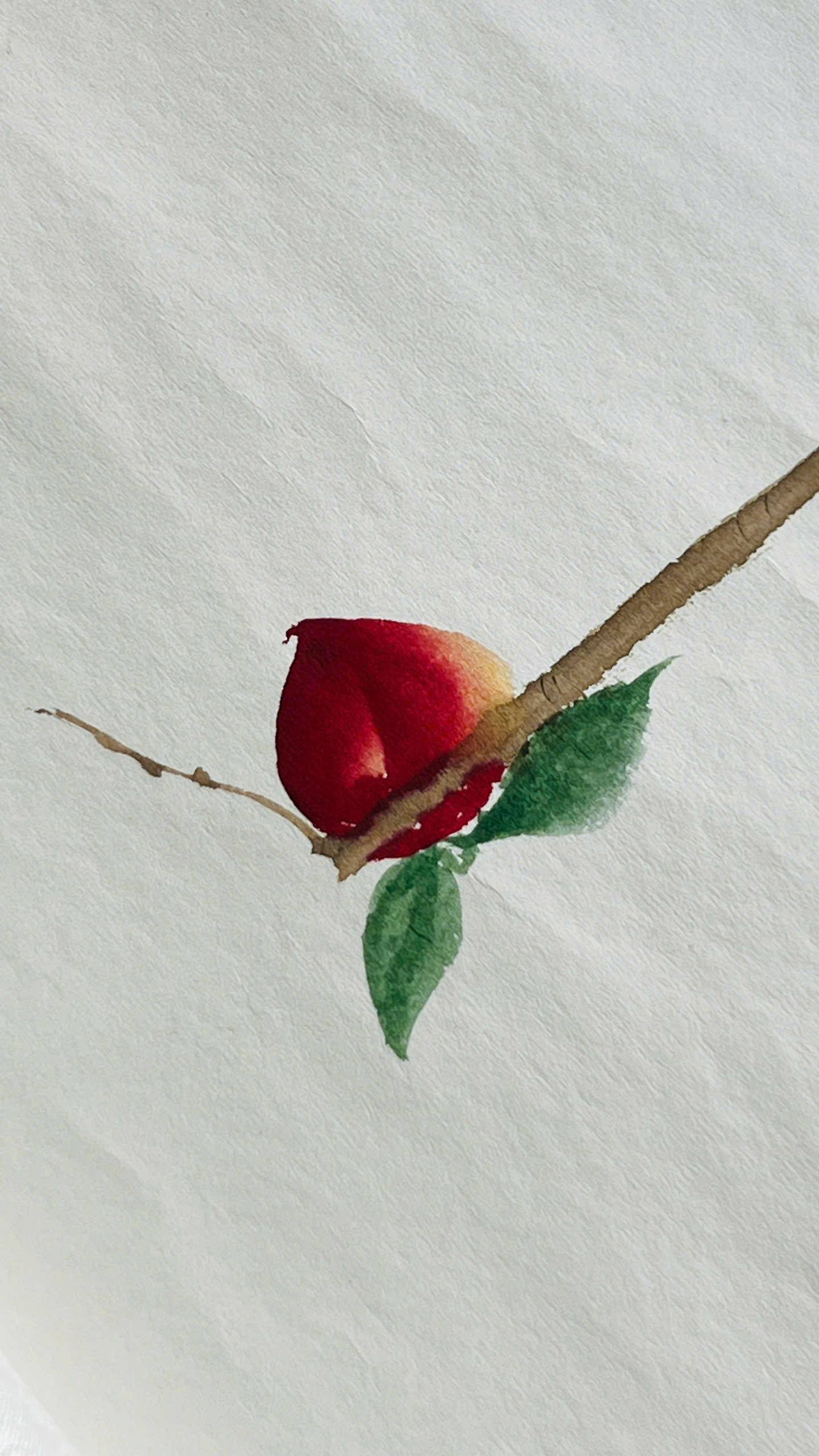 Photo from Đà Lạt