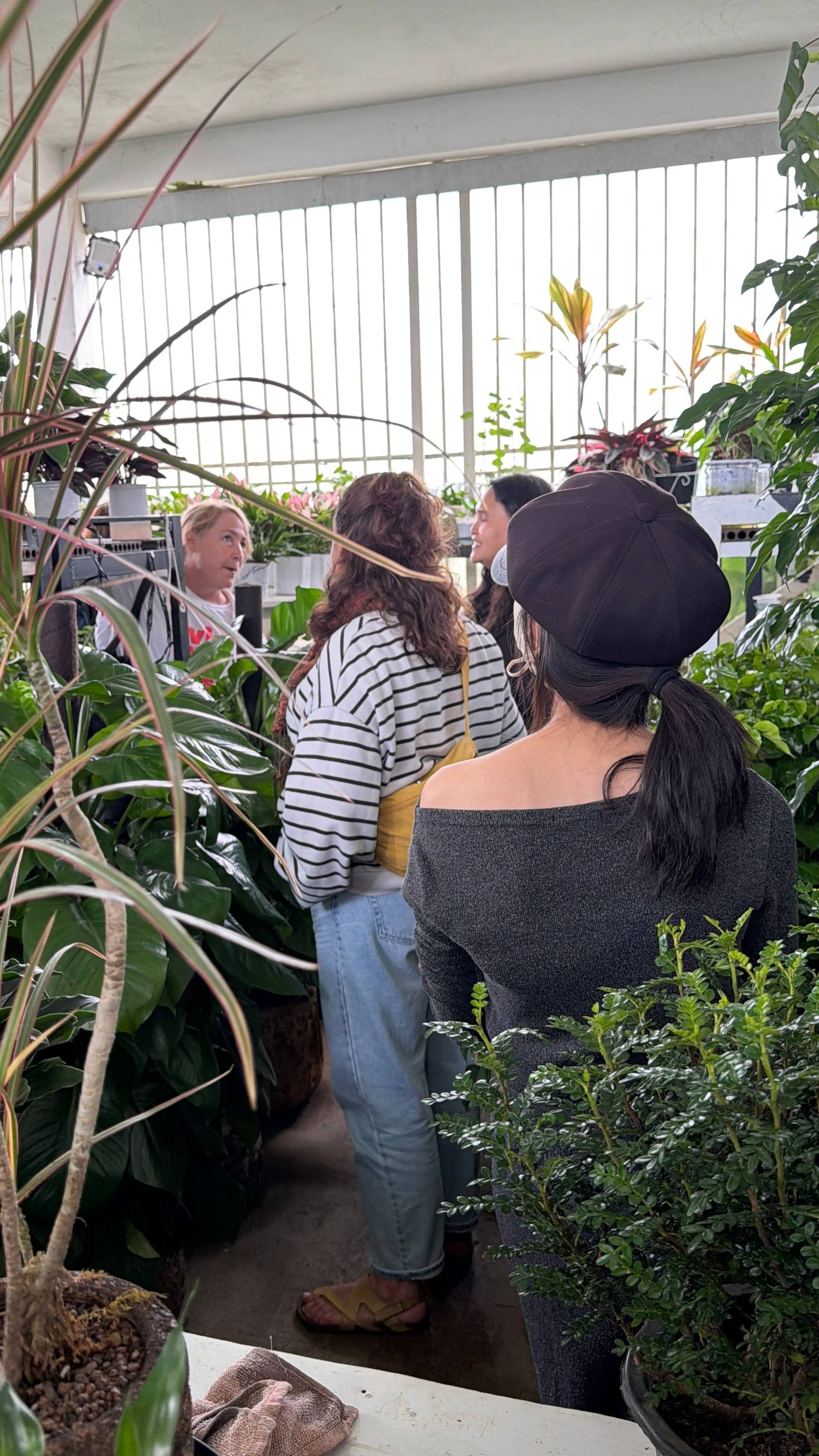 A group of people is gathered in a lush greenhouse in Đà Lạt, Vietnam, surrounded by vibrant plants and engaging in casual conversation.