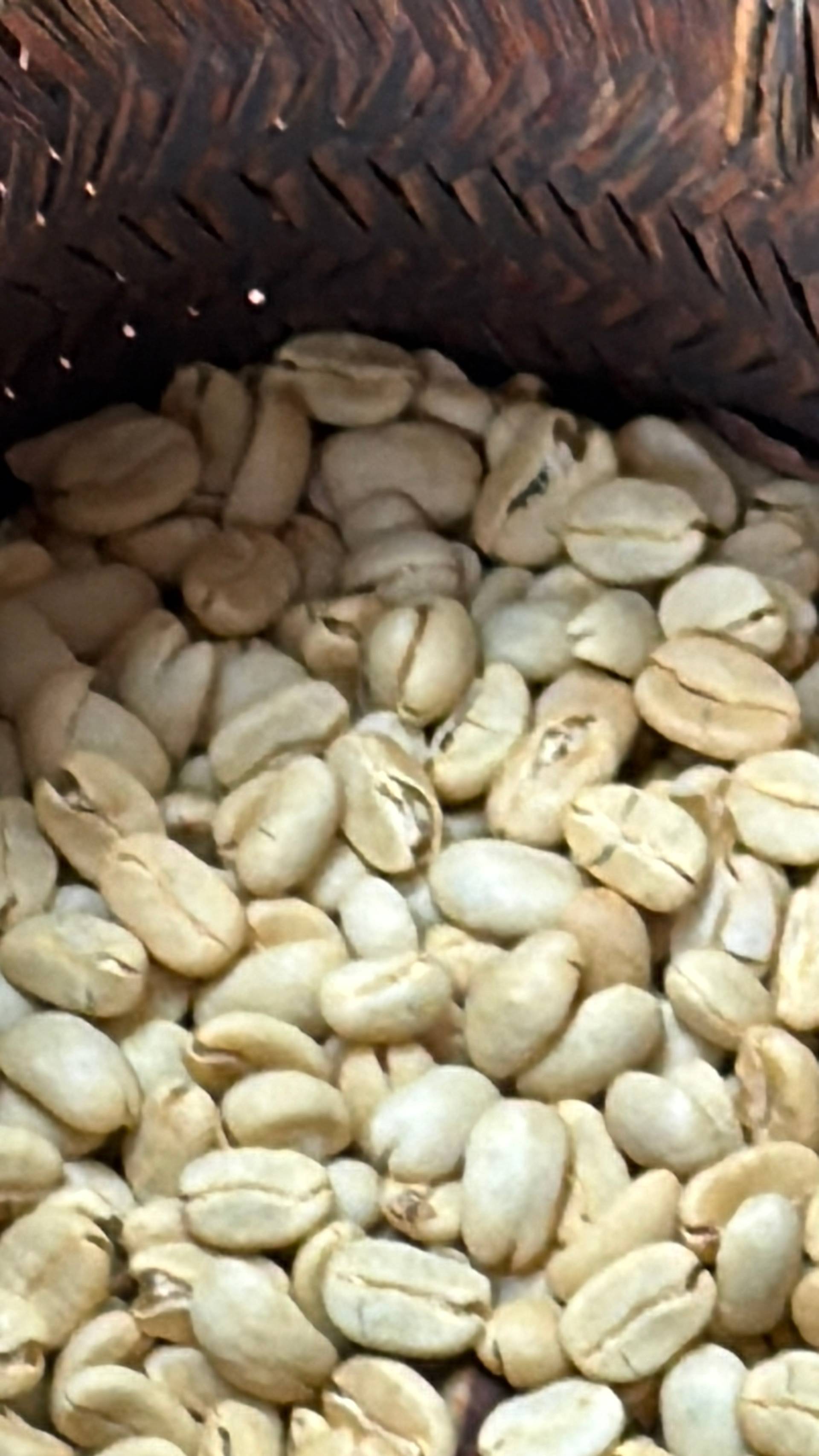 Photo from Đà Lạt