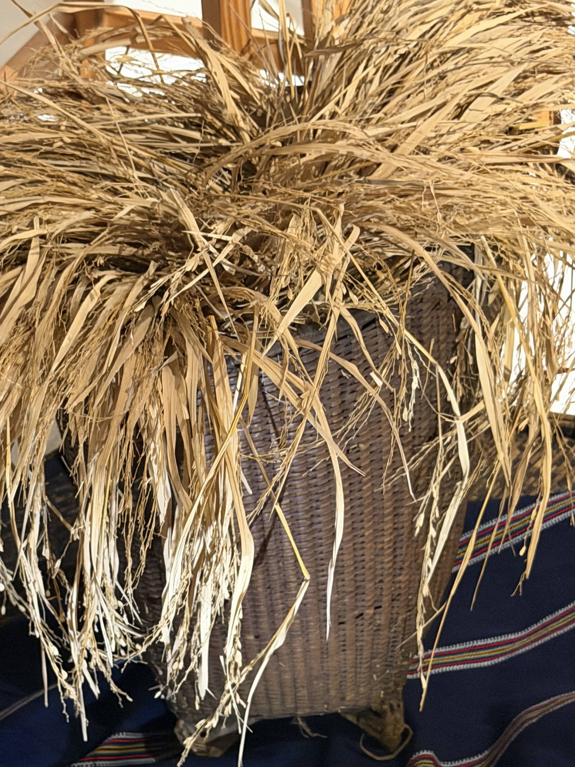 Photo from Đà Lạt