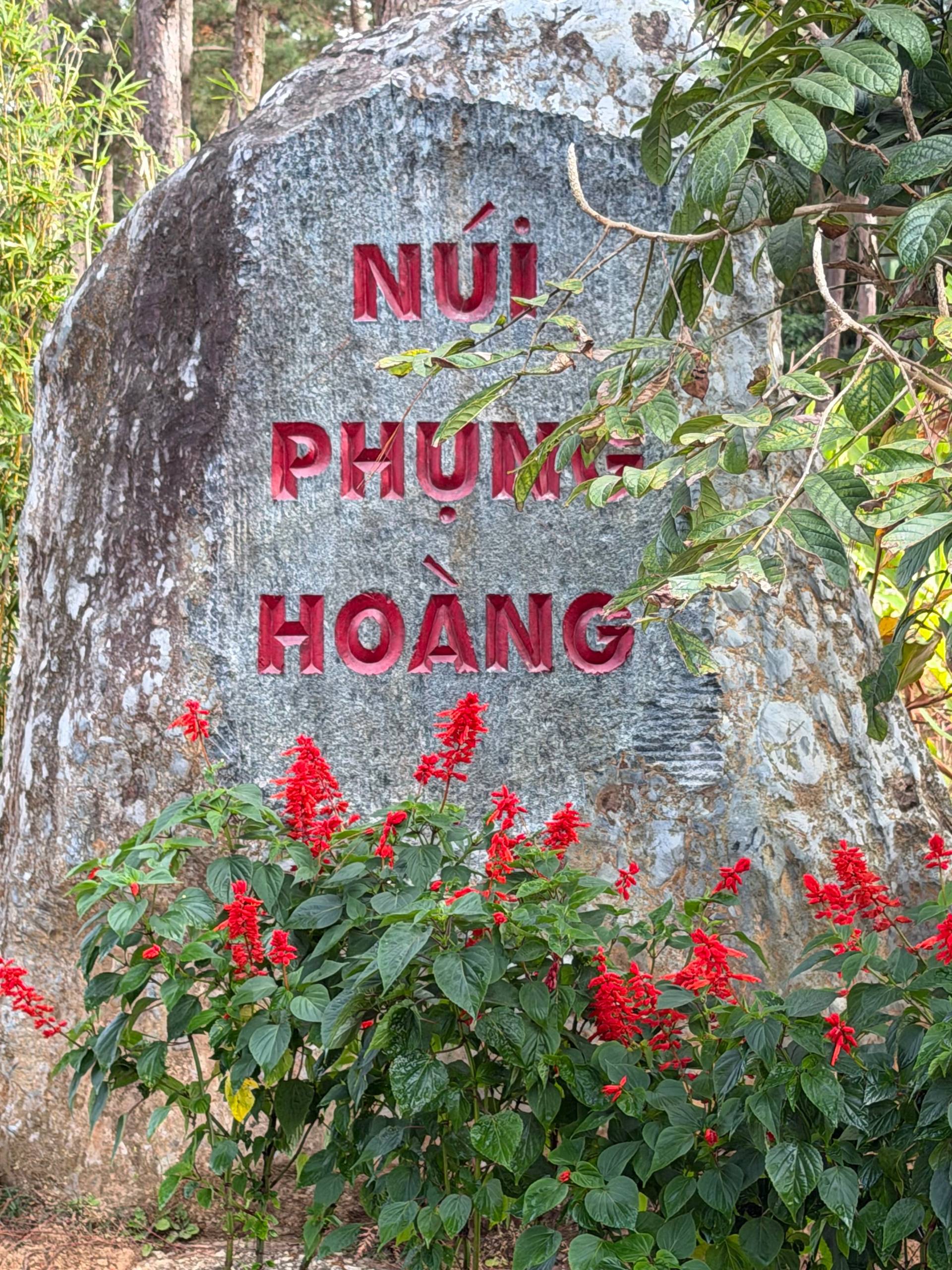 Photo from Đà Lạt