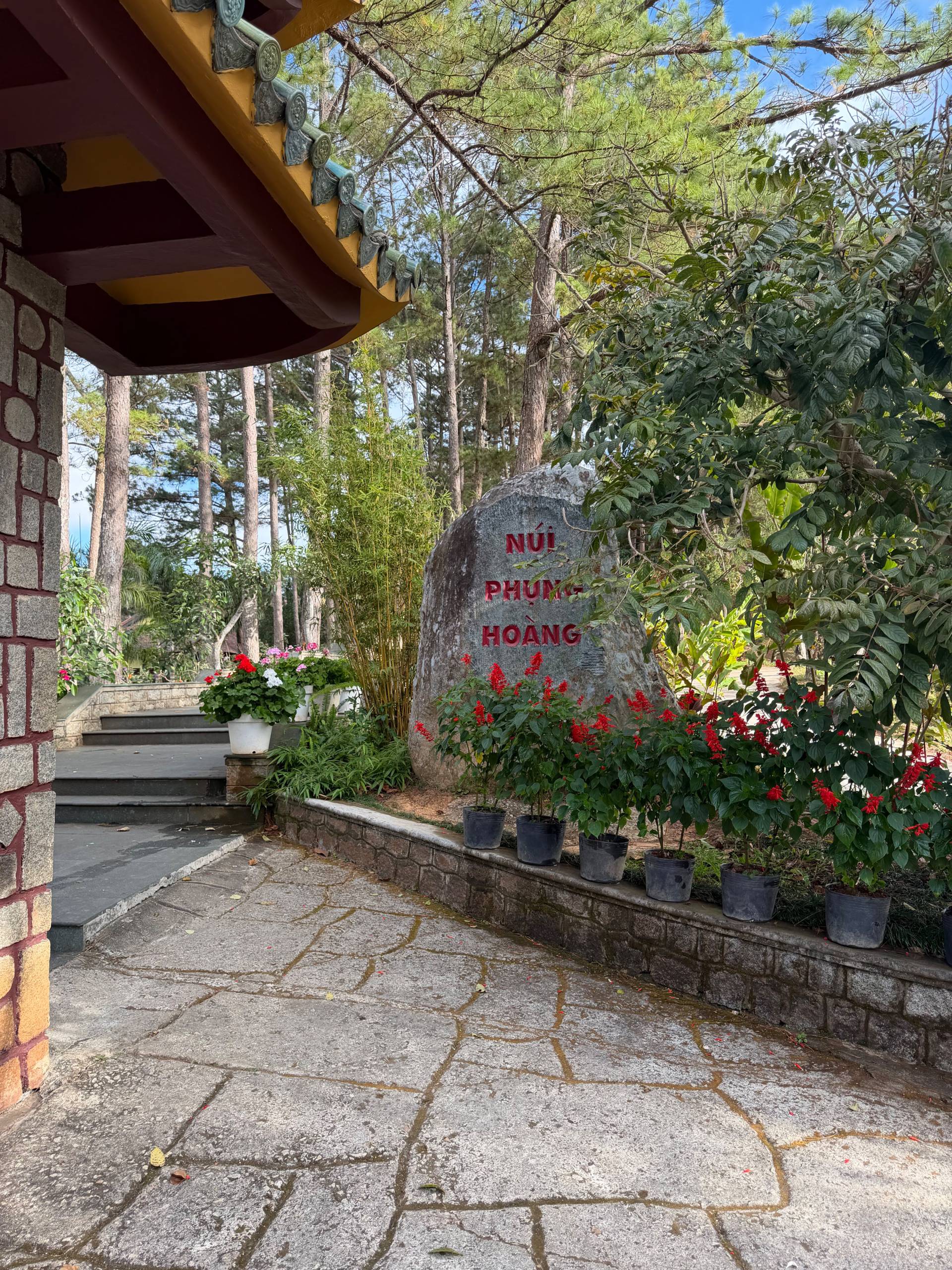 Photo from Đà Lạt