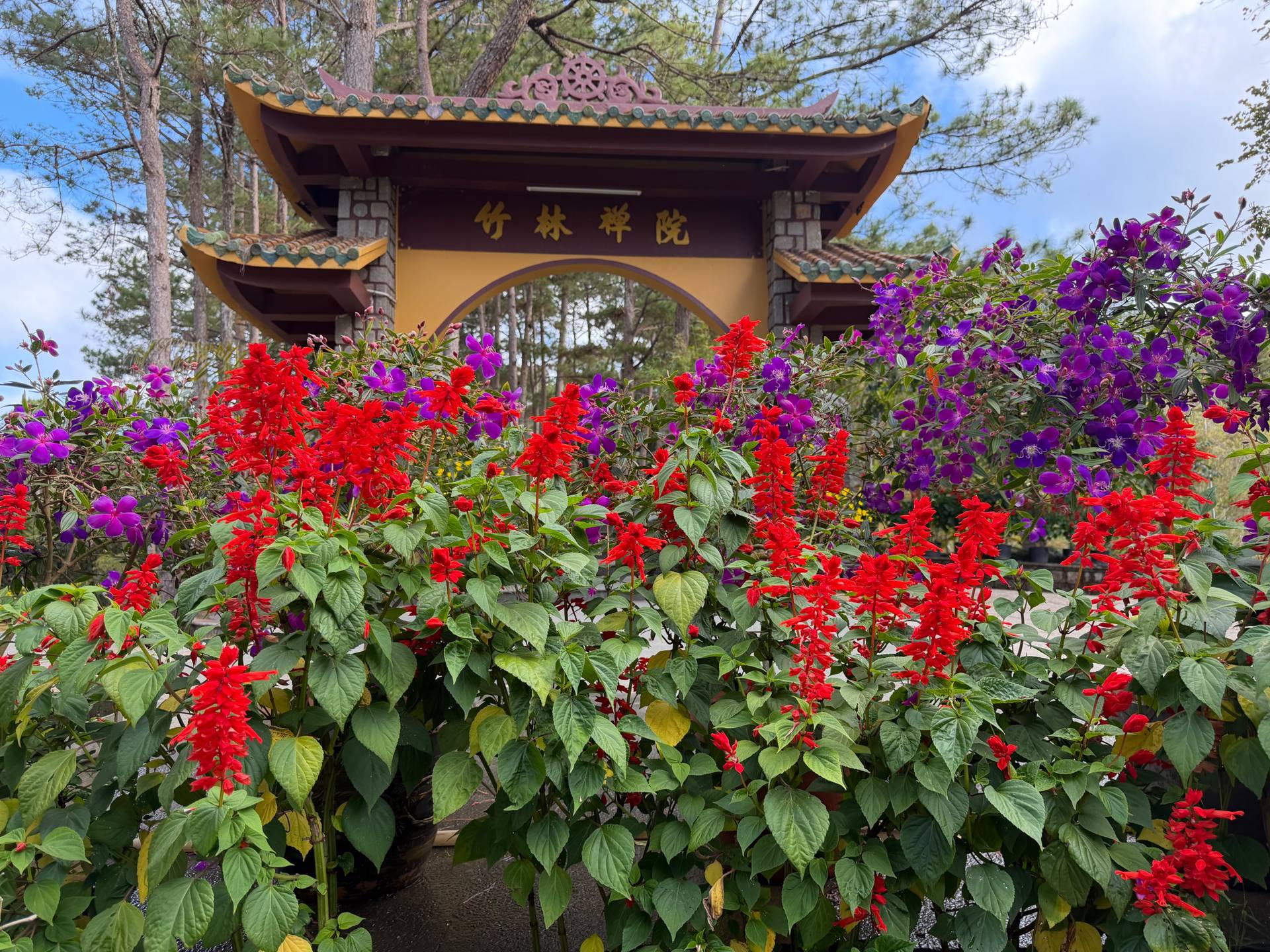 Photo from Đà Lạt