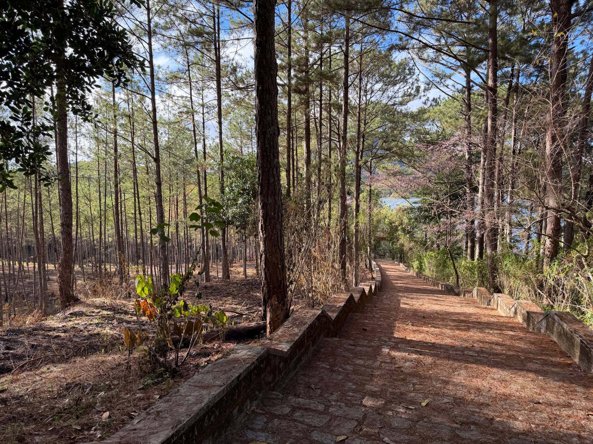 Photo from Đà Lạt