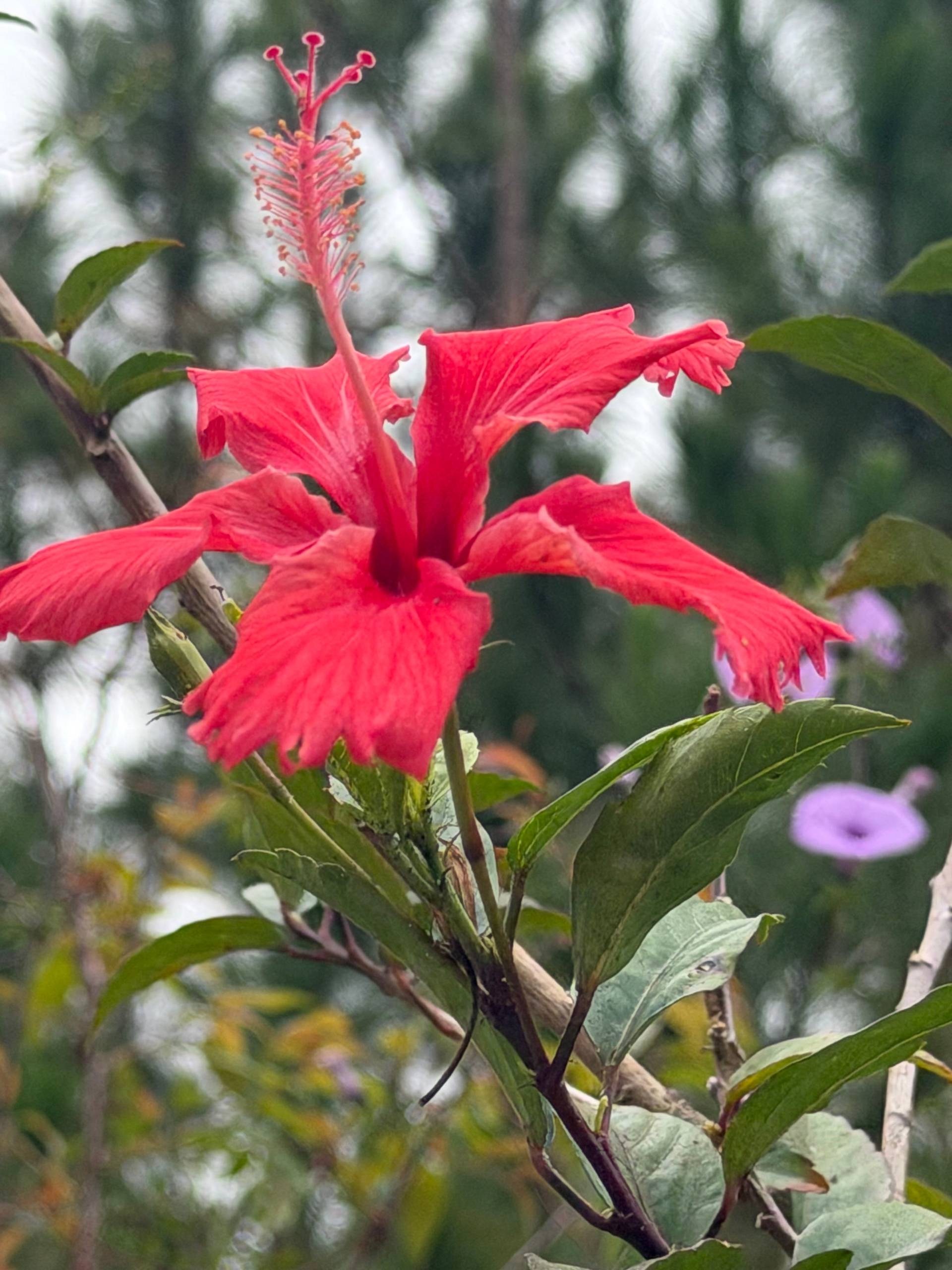 Photo from Đà Lạt