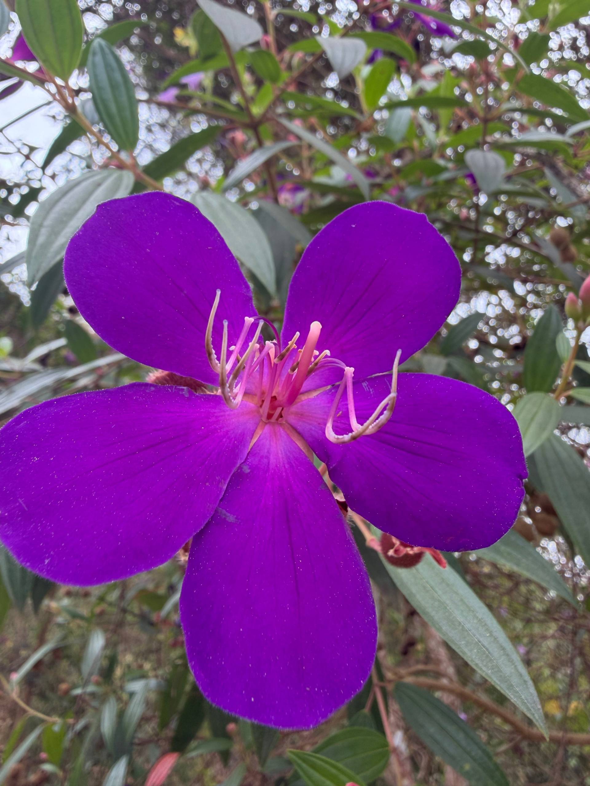 Photo from Đà Lạt