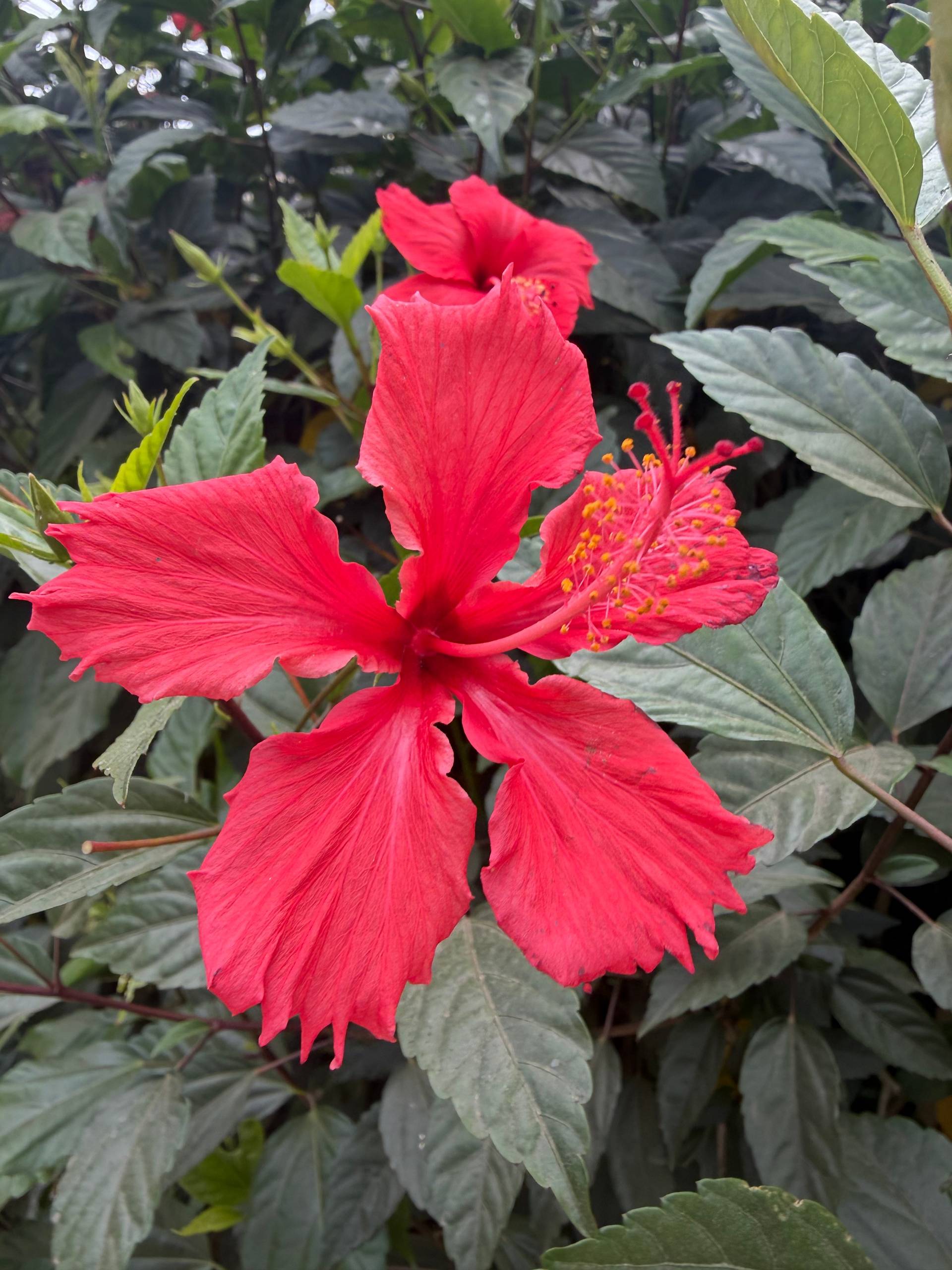 Photo from Đà Lạt