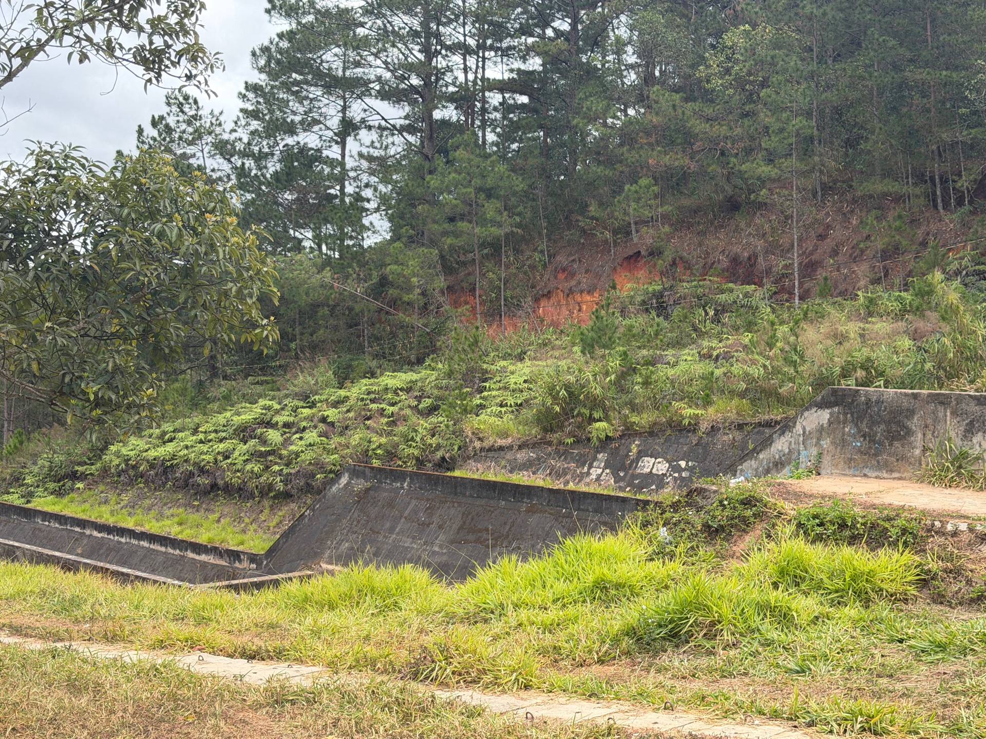 Photo from Đà Lạt