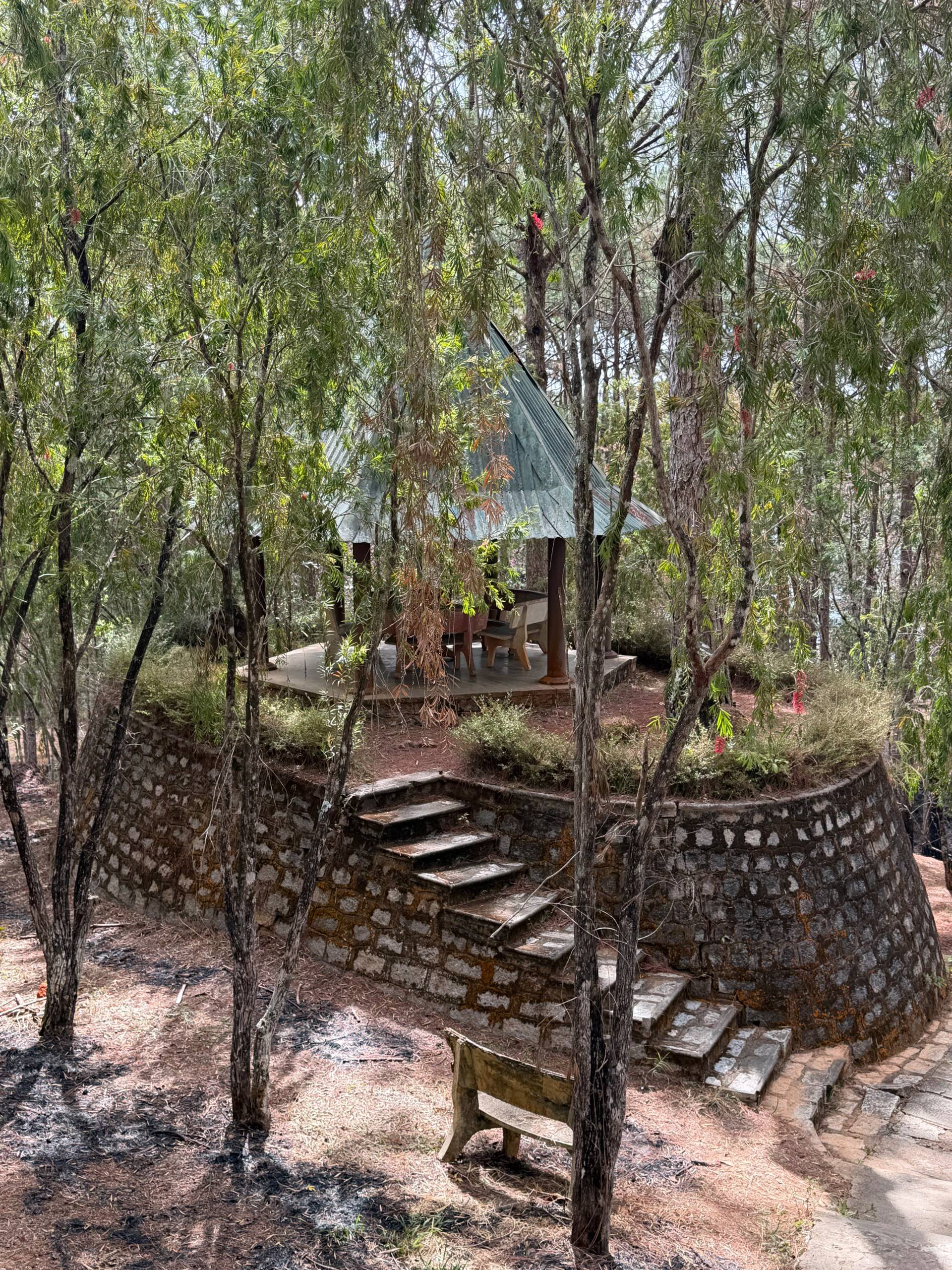 Historic stone structures nestled within Đà Lạt's dense pine forest. Stone foundations and stairs suggest a heritage site or former colonial-era retreat immersed in nature.
