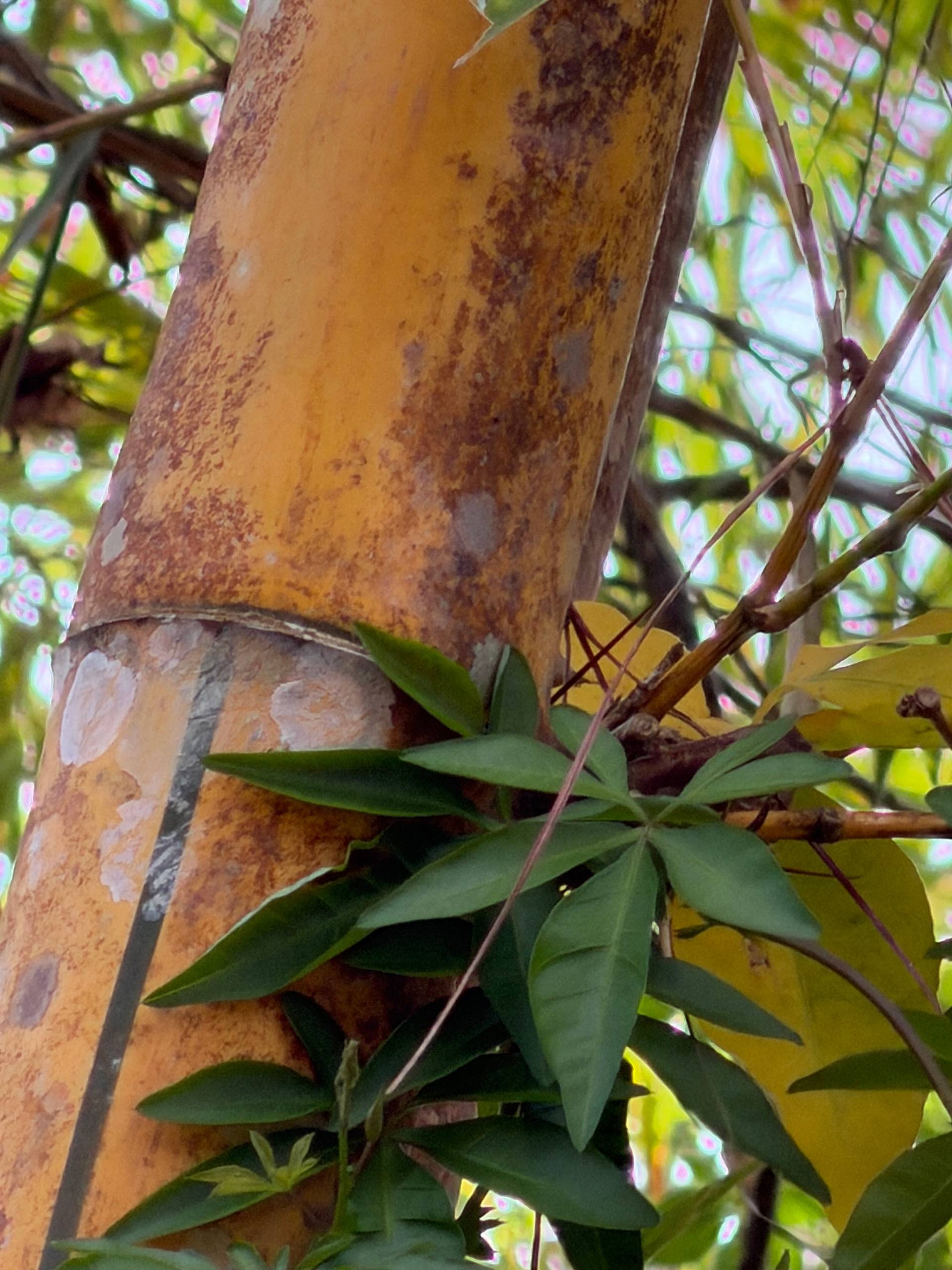 Photo from Đà Lạt