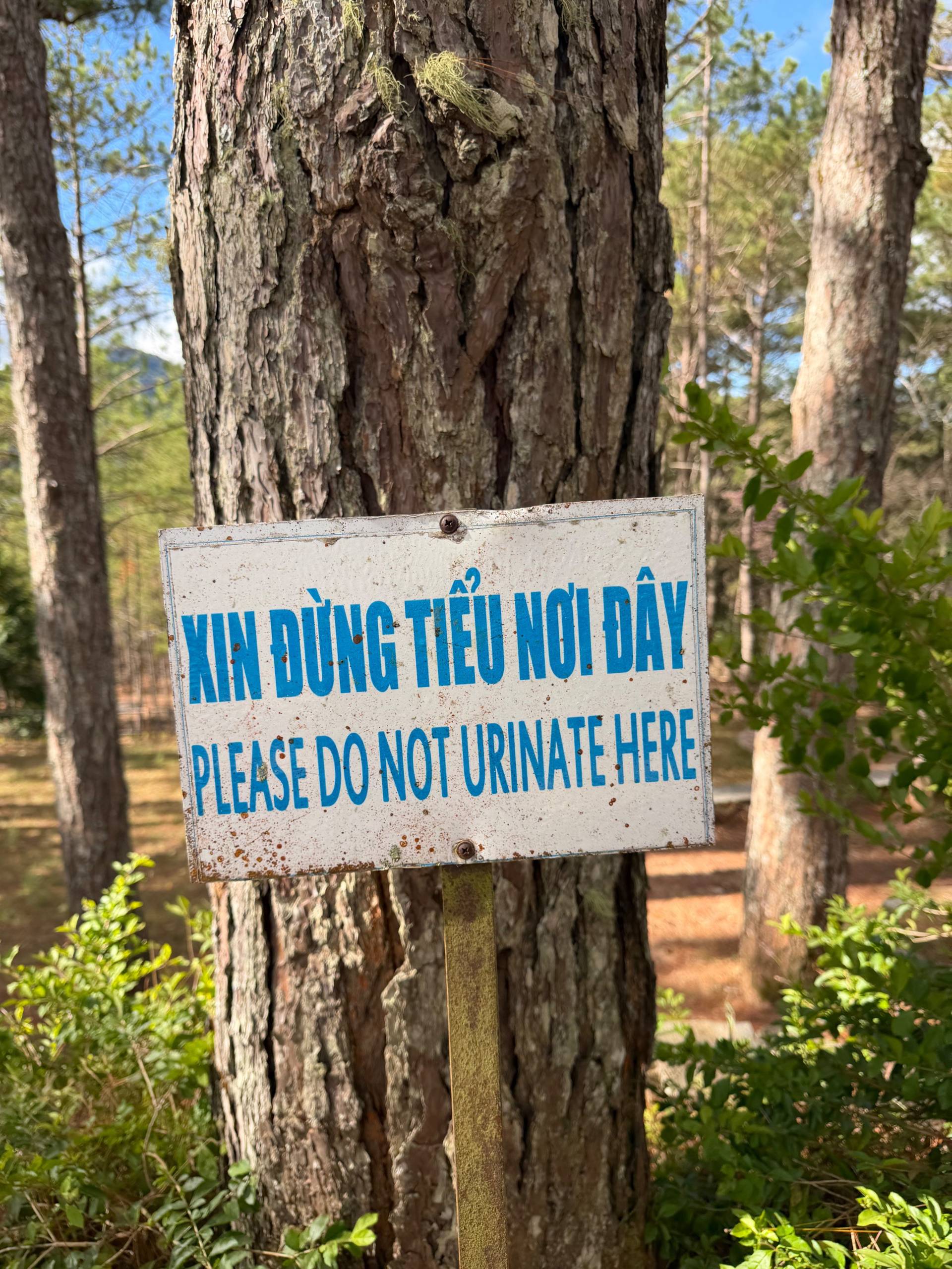 Photo from Đà Lạt