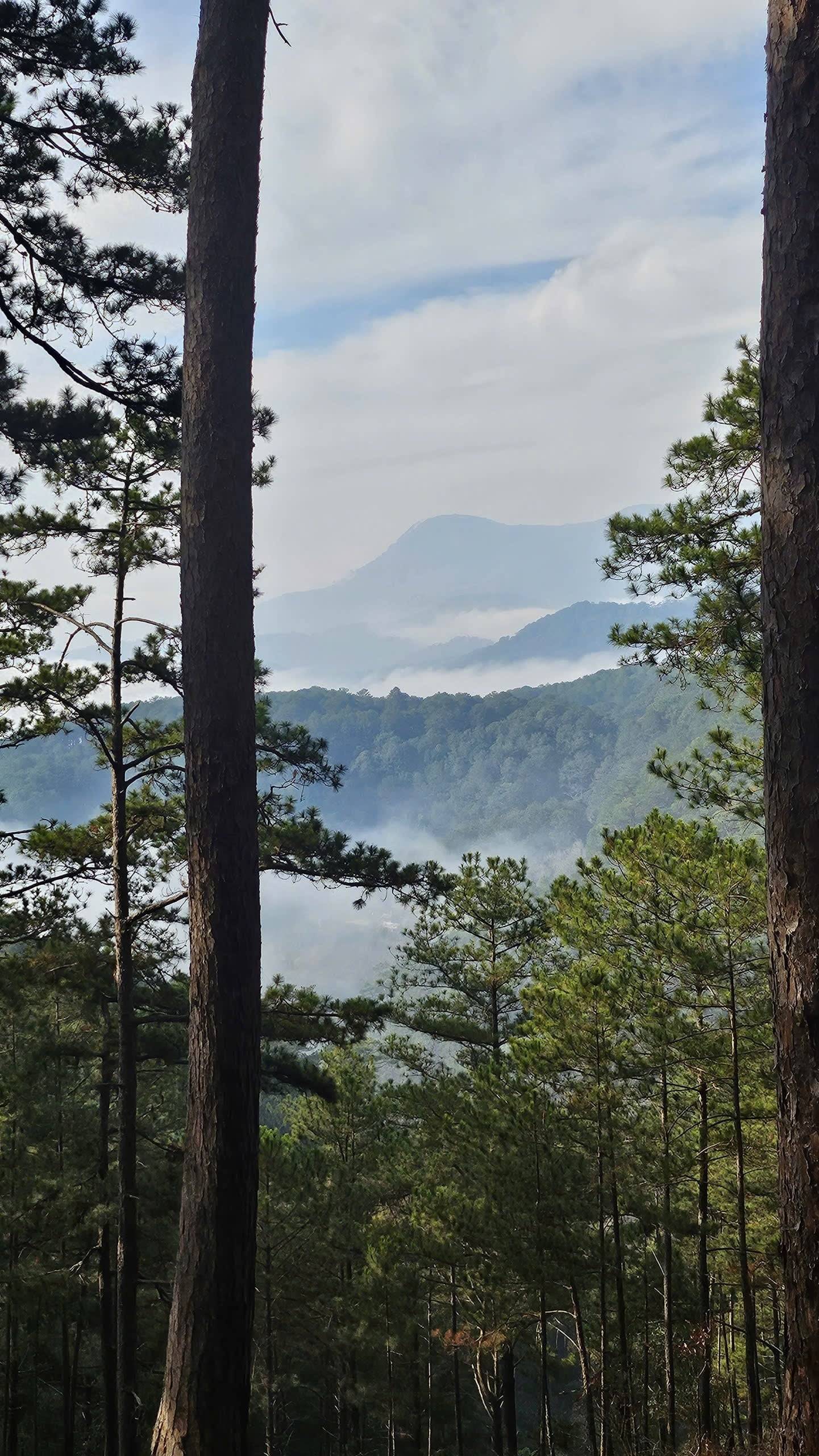 Photo from Đà Lạt