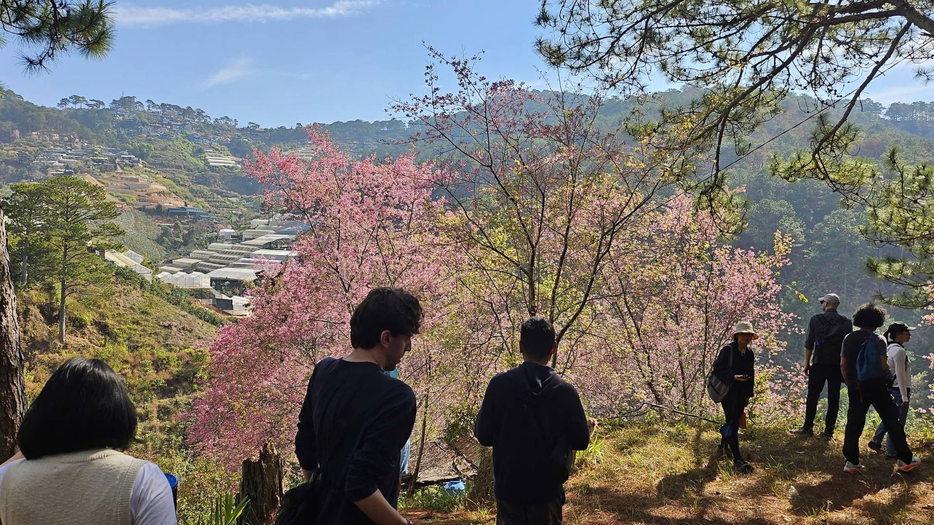 Photo from Đà Lạt