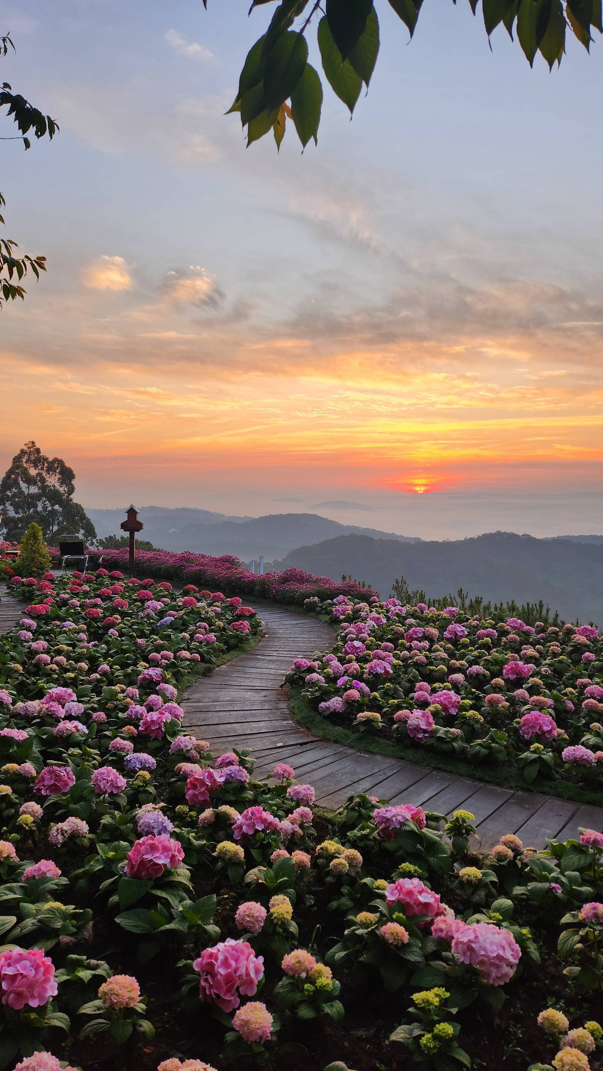 Photo from Đà Lạt