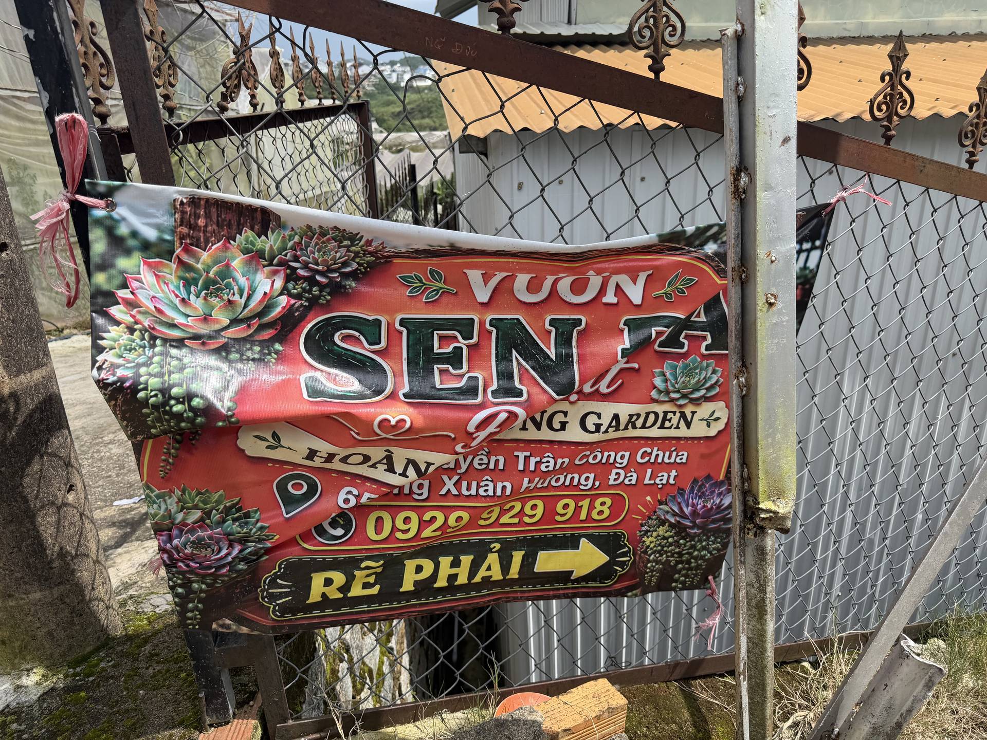 A vibrant signboard for 'Vườn Sen' (Lotus Garden) in Đà Lạt, Vietnam, featuring succulent plants and directional arrows indicating a turn-right path.