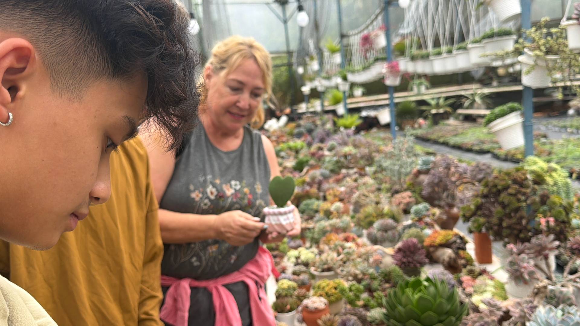 Two individuals explore a vibrant succulent garden in Đà Lạt, Vietnam, surrounded by lush greenery and hanging plants under a greenhouse structure.