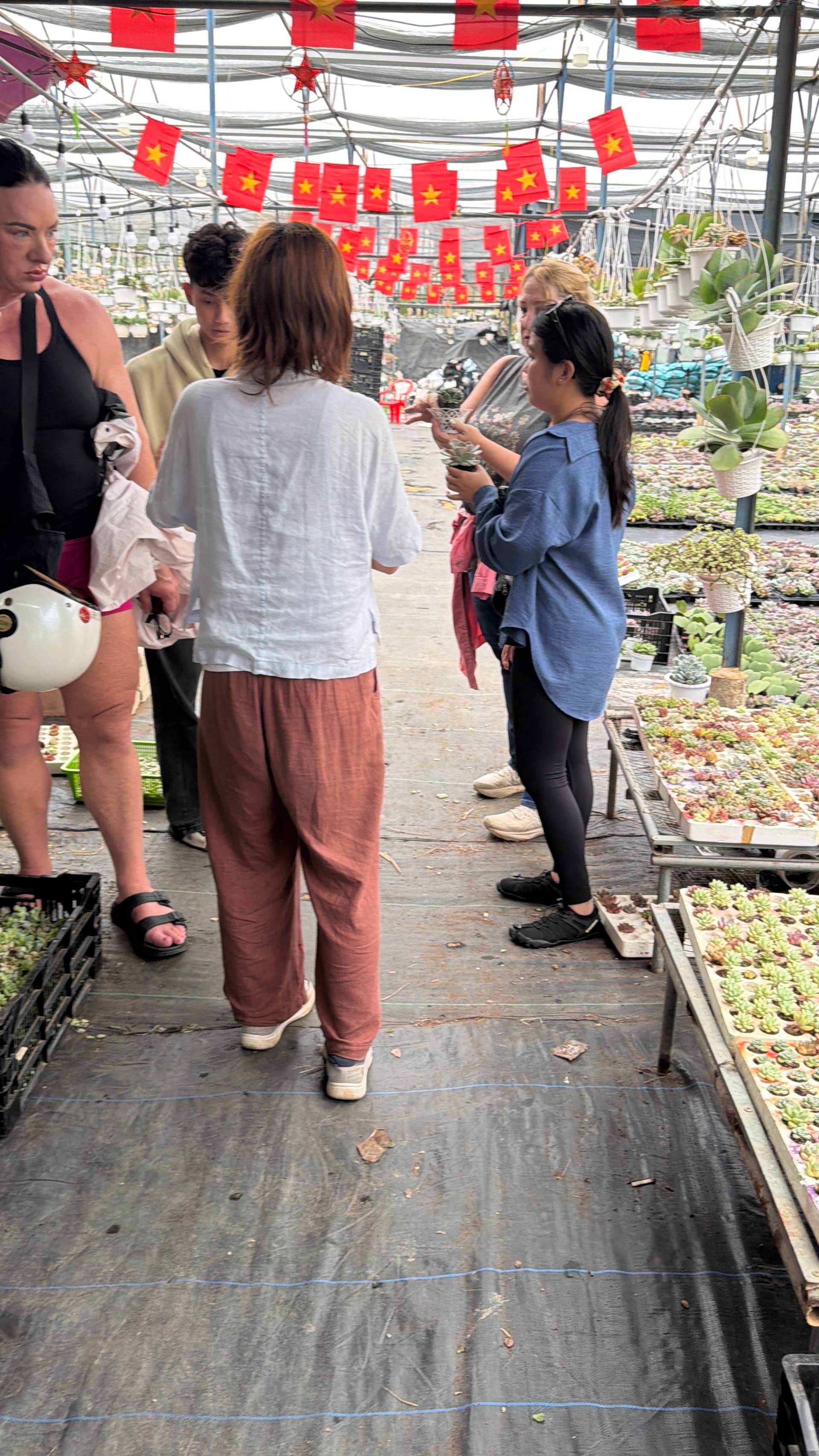 A lively scene in Đà Lạt, Vietnam, featuring a group of people exploring succulents and plants at an outdoor market adorned with Vietnamese flags.