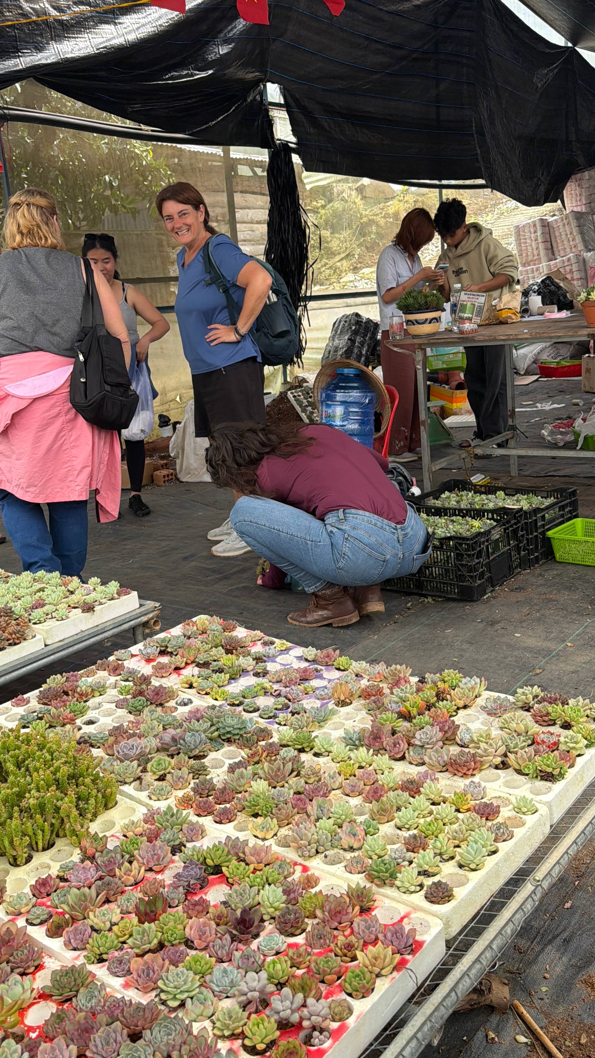 A vibrant market scene in Đà Lạt, Vietnam, featuring a variety of succulents displayed on tables under a black tarp, with people browsing and interacting around the stalls.