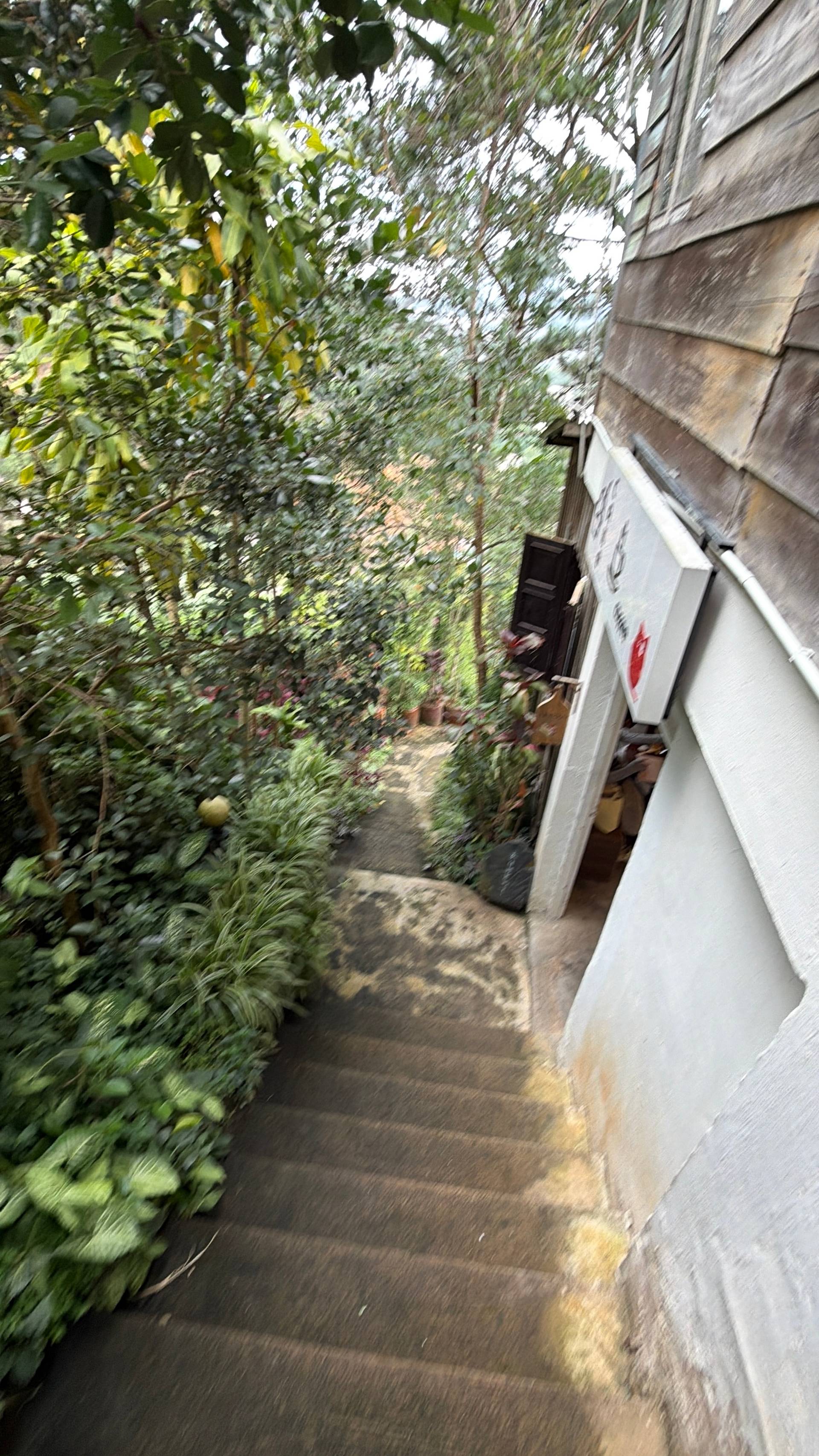 A serene staircase leading through lush greenery in Đà Lạt, Vietnam, with a rustic wooden building and potted plants adding to the tranquil atmosphere.