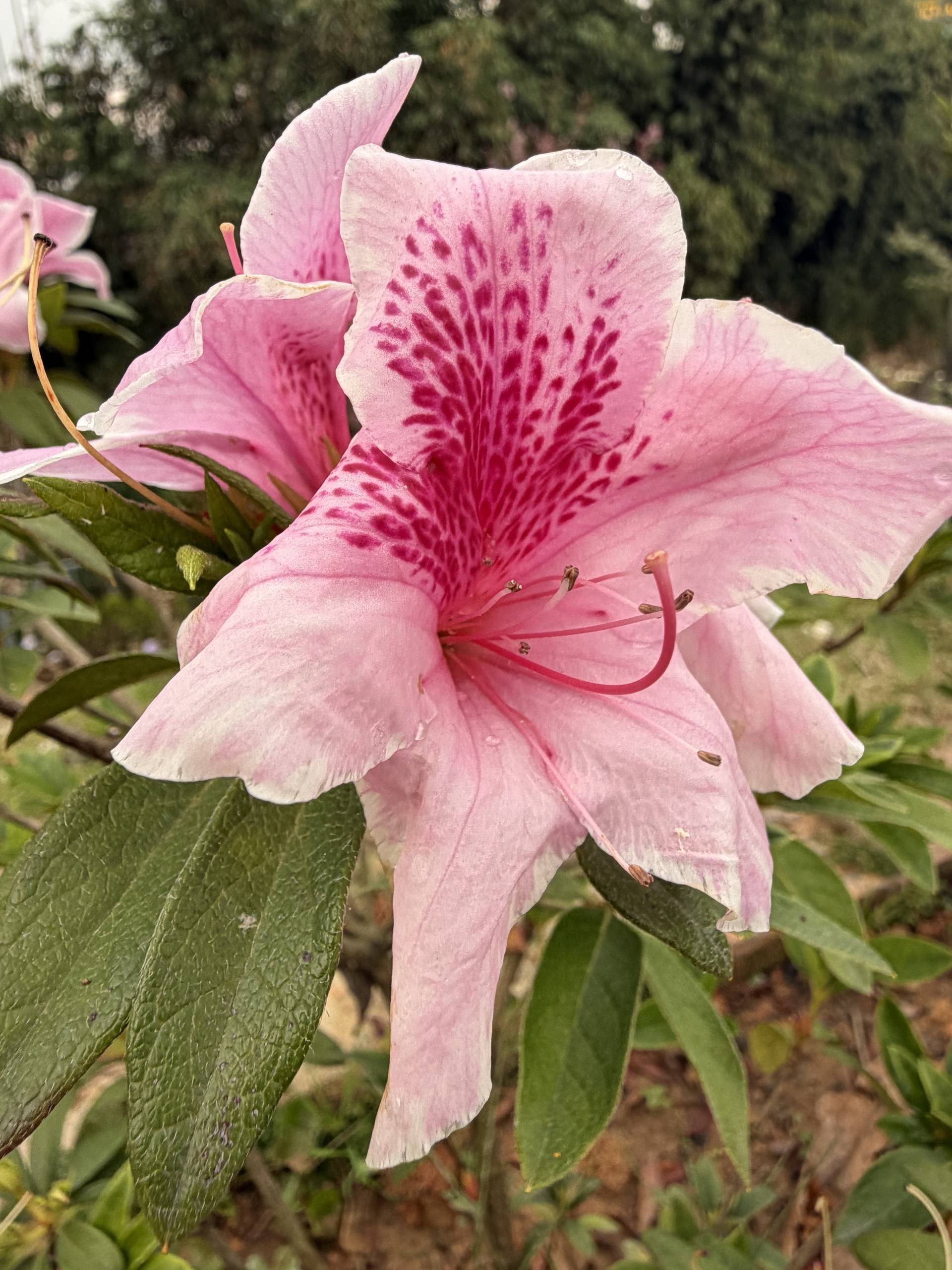 Photo from Đà Lạt