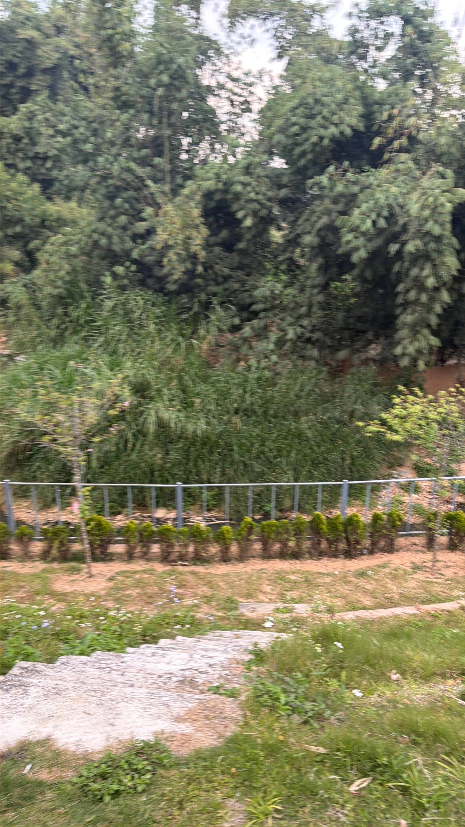 Large community event in Đà Lạt with participants in vibrant traditional áo dài conducting craft or food-preparation activities. Outdoor gathering featuring conical hats, bamboo baskets, and fresh produce.