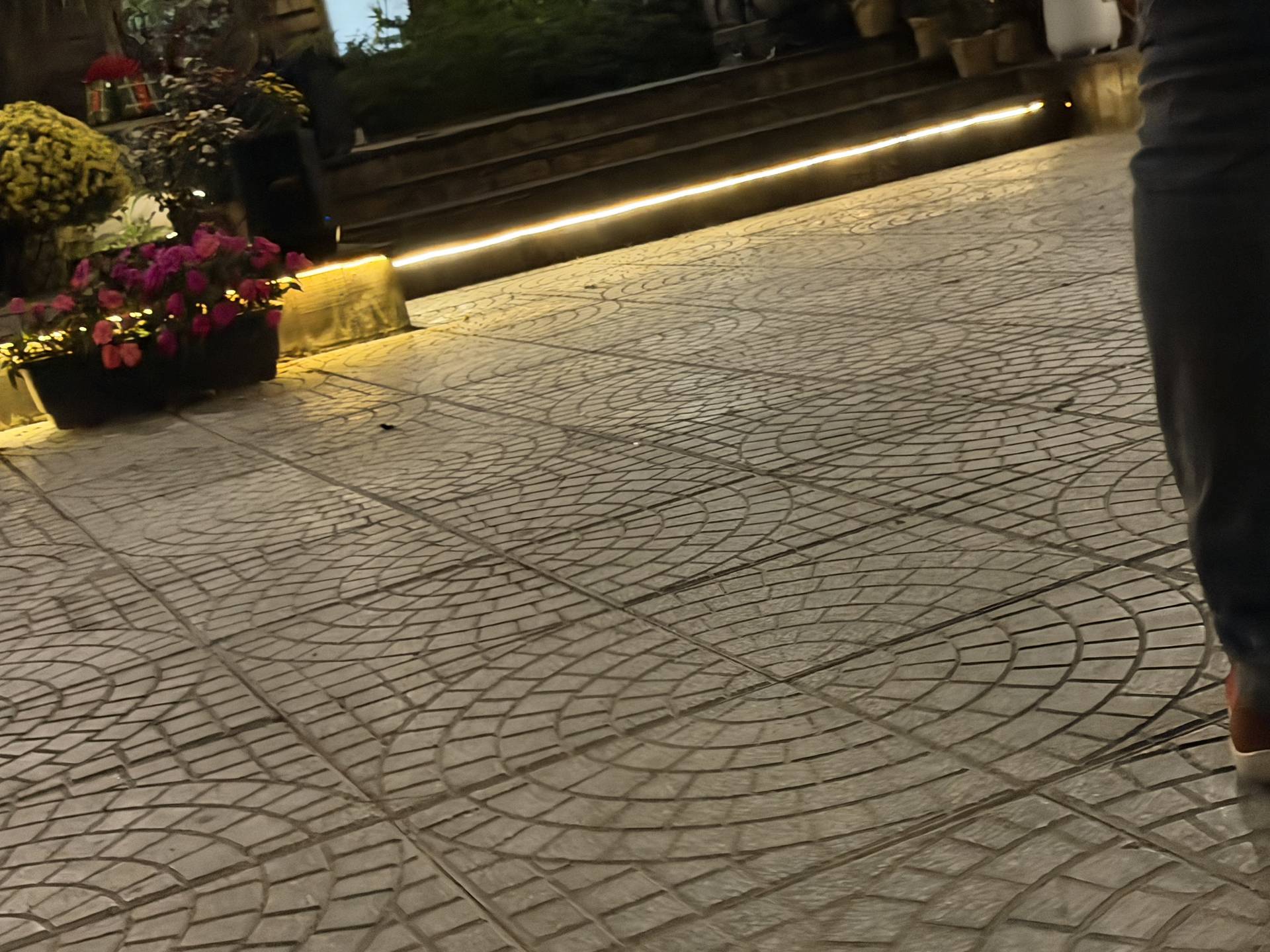 Ambient evening view of Đà Lạt outdoor venue with warm decorative lighting, colorful flower arrangements, and contemporary event infrastructure in highland garden setting.
