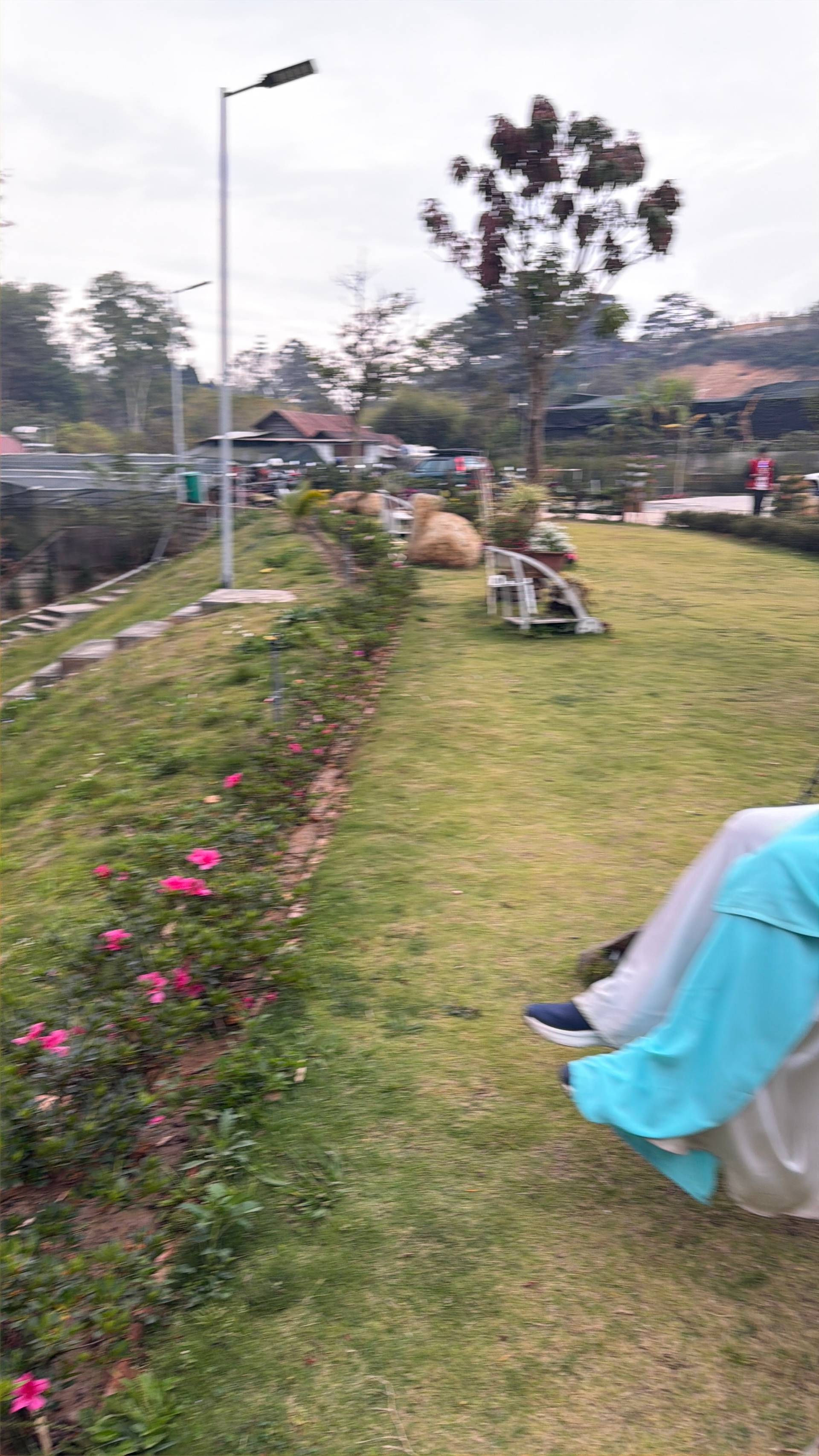 Outdoor garden event space in Đà Lạt with pink flowering plants lining a manicured lawn, typical of the city's highland resort setting with pine forest canopy visible in the background.