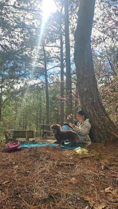 Shinrin Yoku/Forest Bathing · Thiền Viện Trúc Lâm